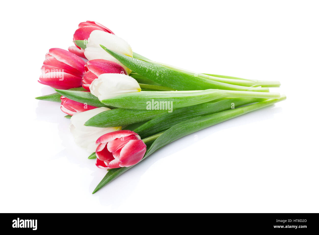 Colorful Tulips Bouquet Isolated On White Background Stock Photo Alamy Colorful Tulips Bouquet Isolated On White Background Stock Photo Alamy