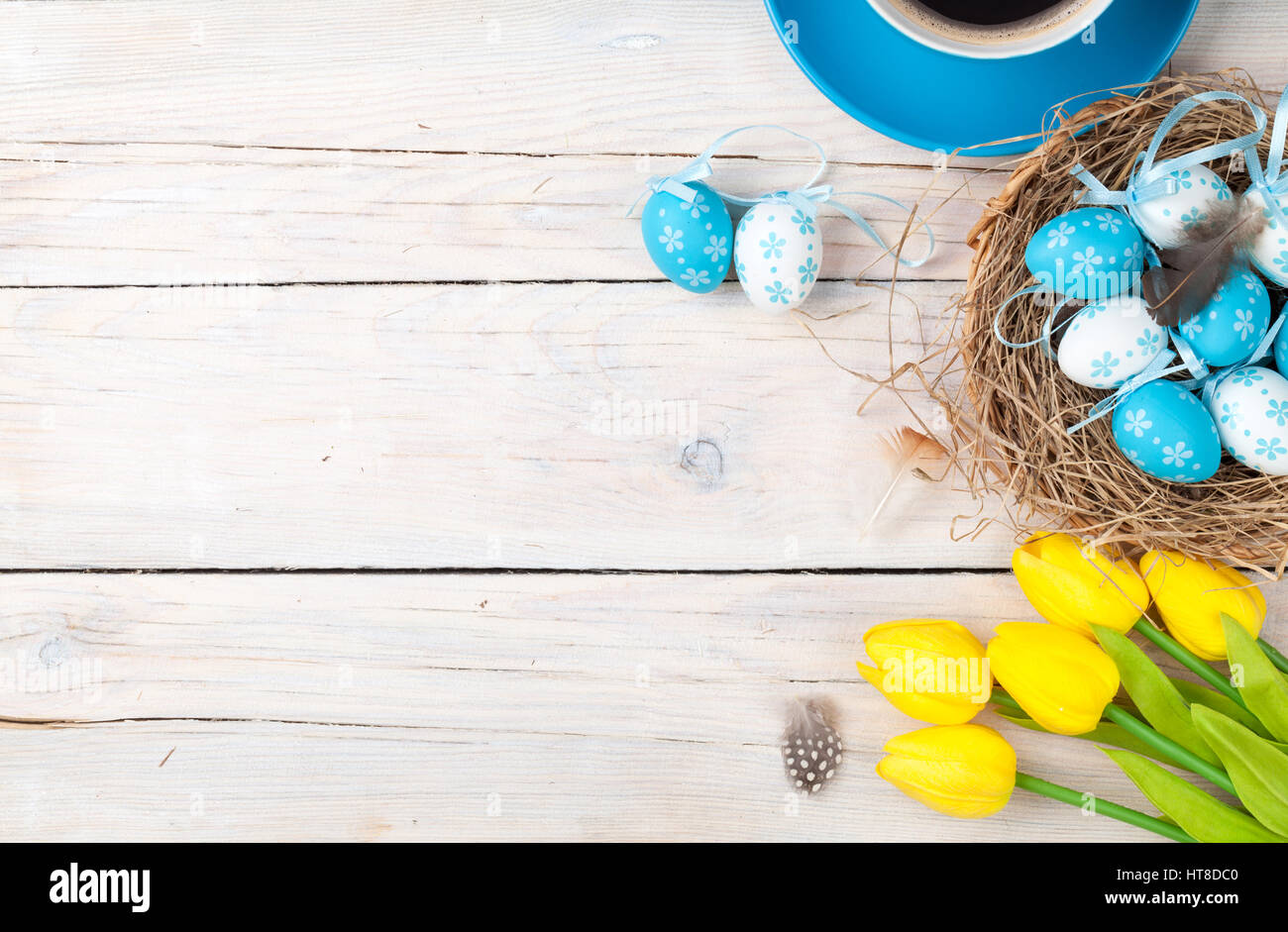 Easter background with blue and white eggs in nest, yellow tulips and ...