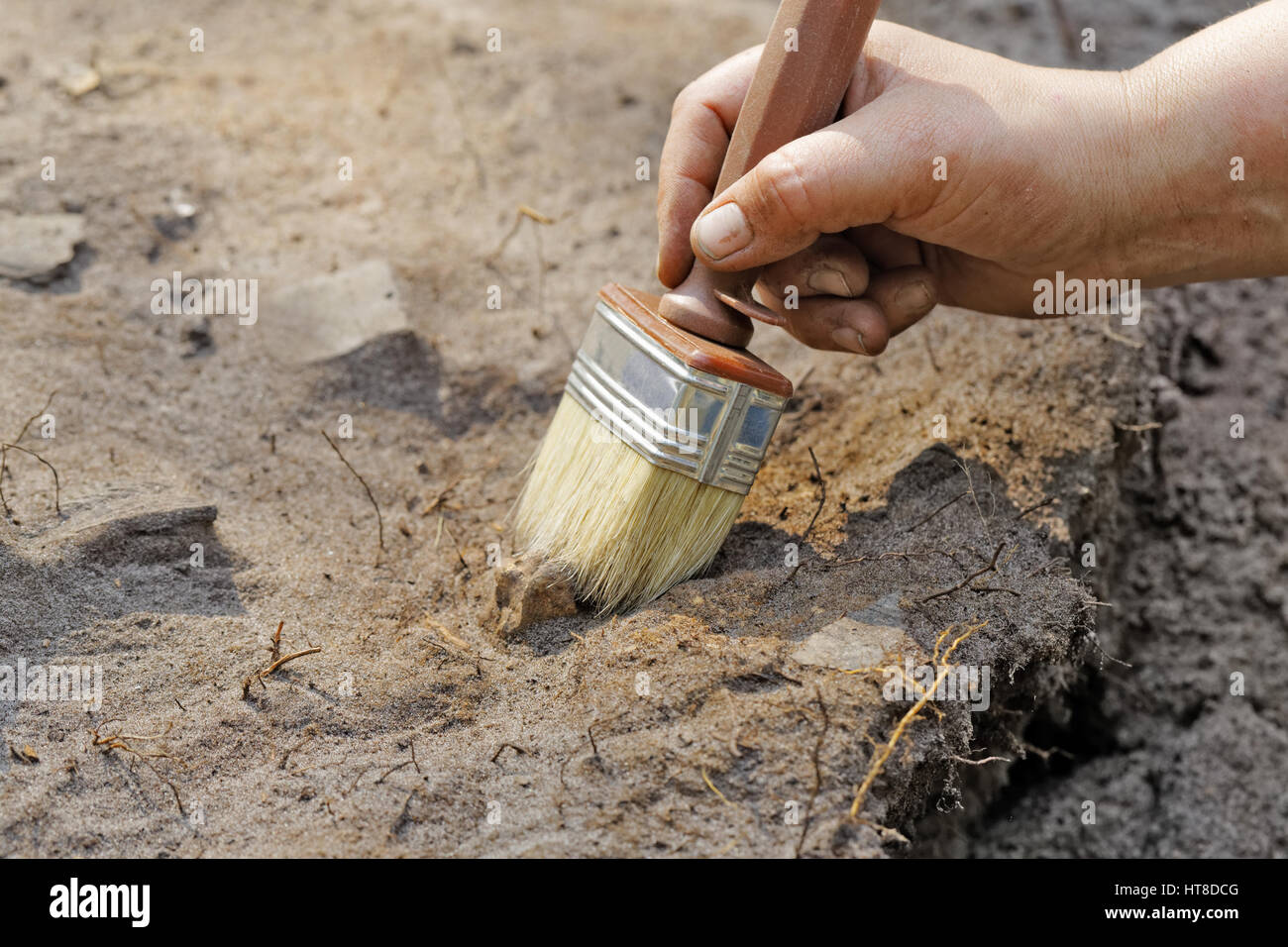 Archaeology: a thin layer stripping.One of the stages of excavation Stock Photo