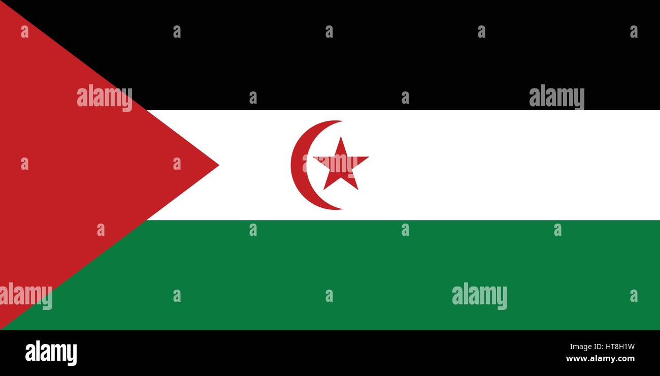 Official vector flag of Western Sahara . Stock Vector
