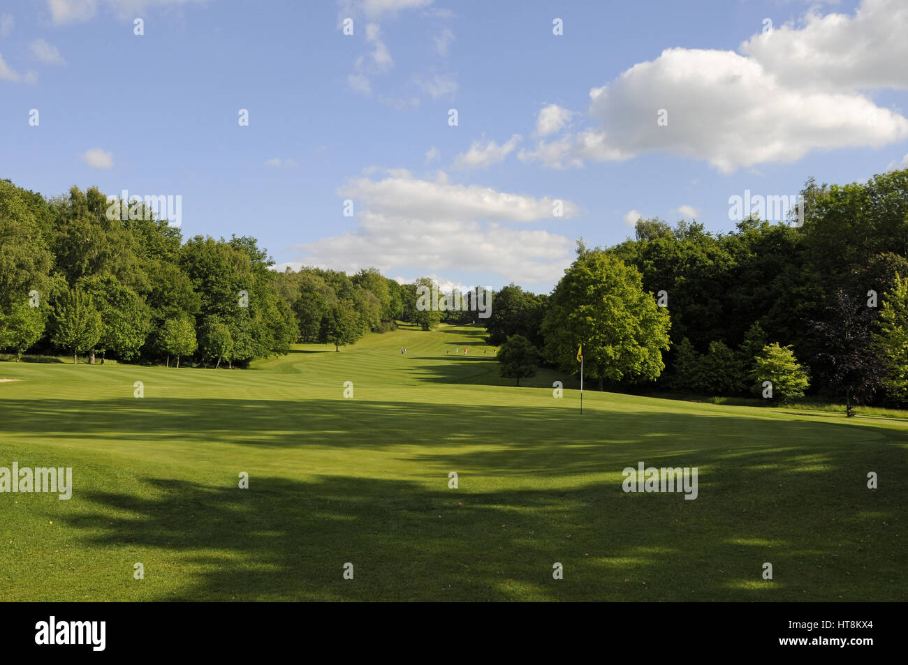 View back over 18th Green to the Fairway, West Surrey Golf Club, Godalming, Surrey, England Stock Photo