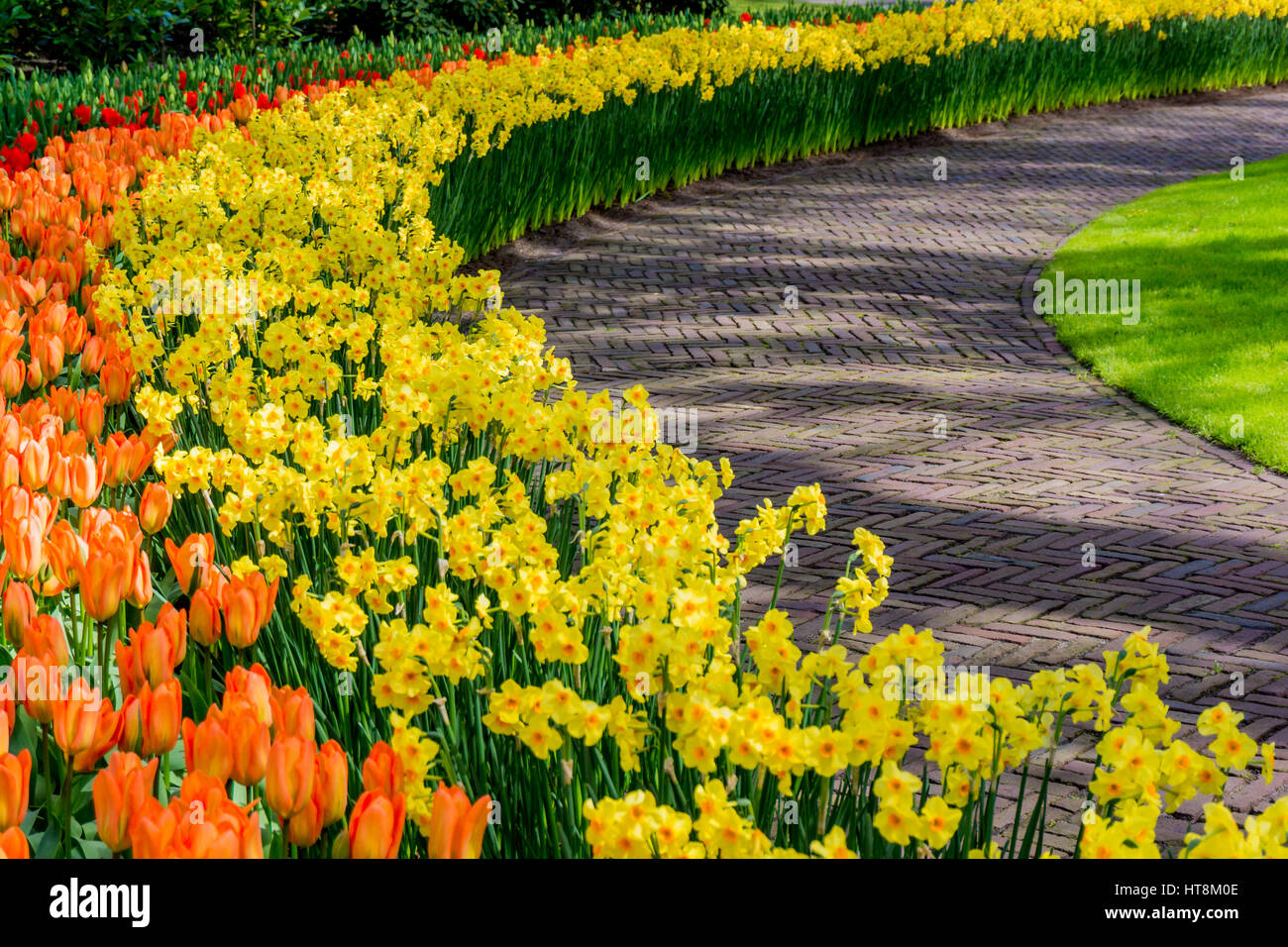 Spring Formal Garden. Beautiful garden of colorful flowers Stock Photo ...