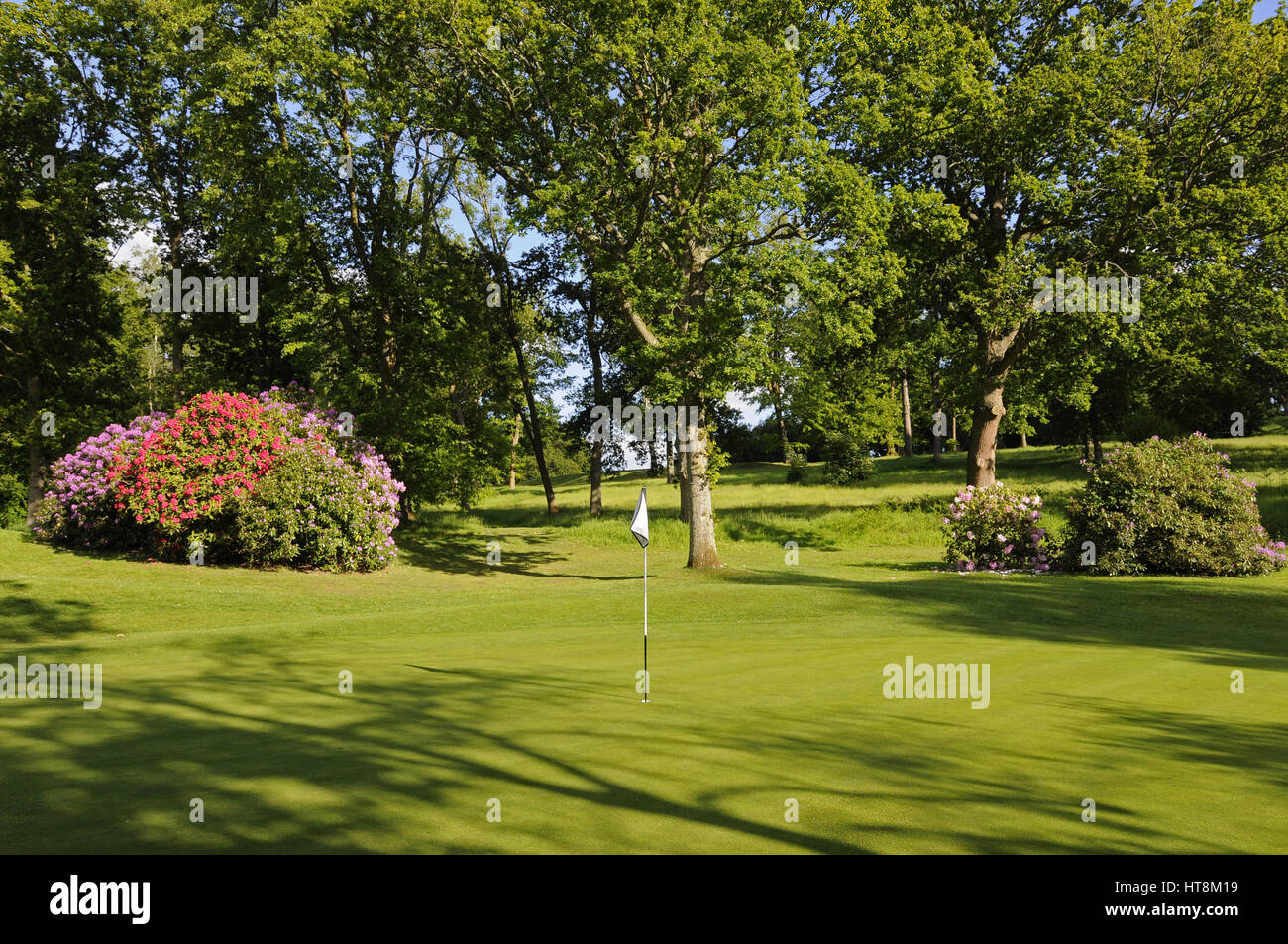 View of the 2nd Green with flowers behind, West Surrey Golf Club, Godalming, Surrey, England Stock Photo