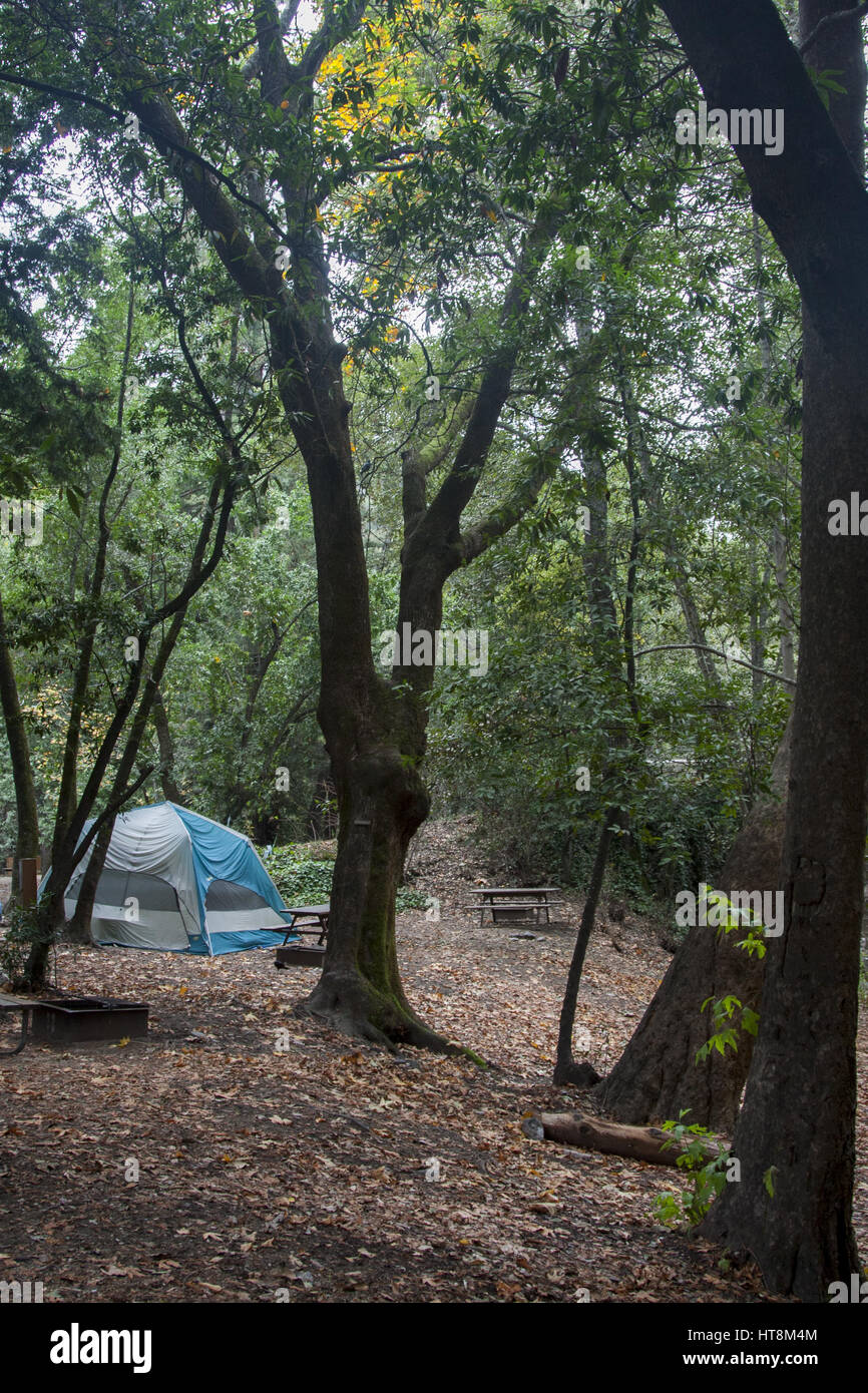 Tent camping at Fernwoeed on Highway 1 in Big Sur, California. Stock Photo