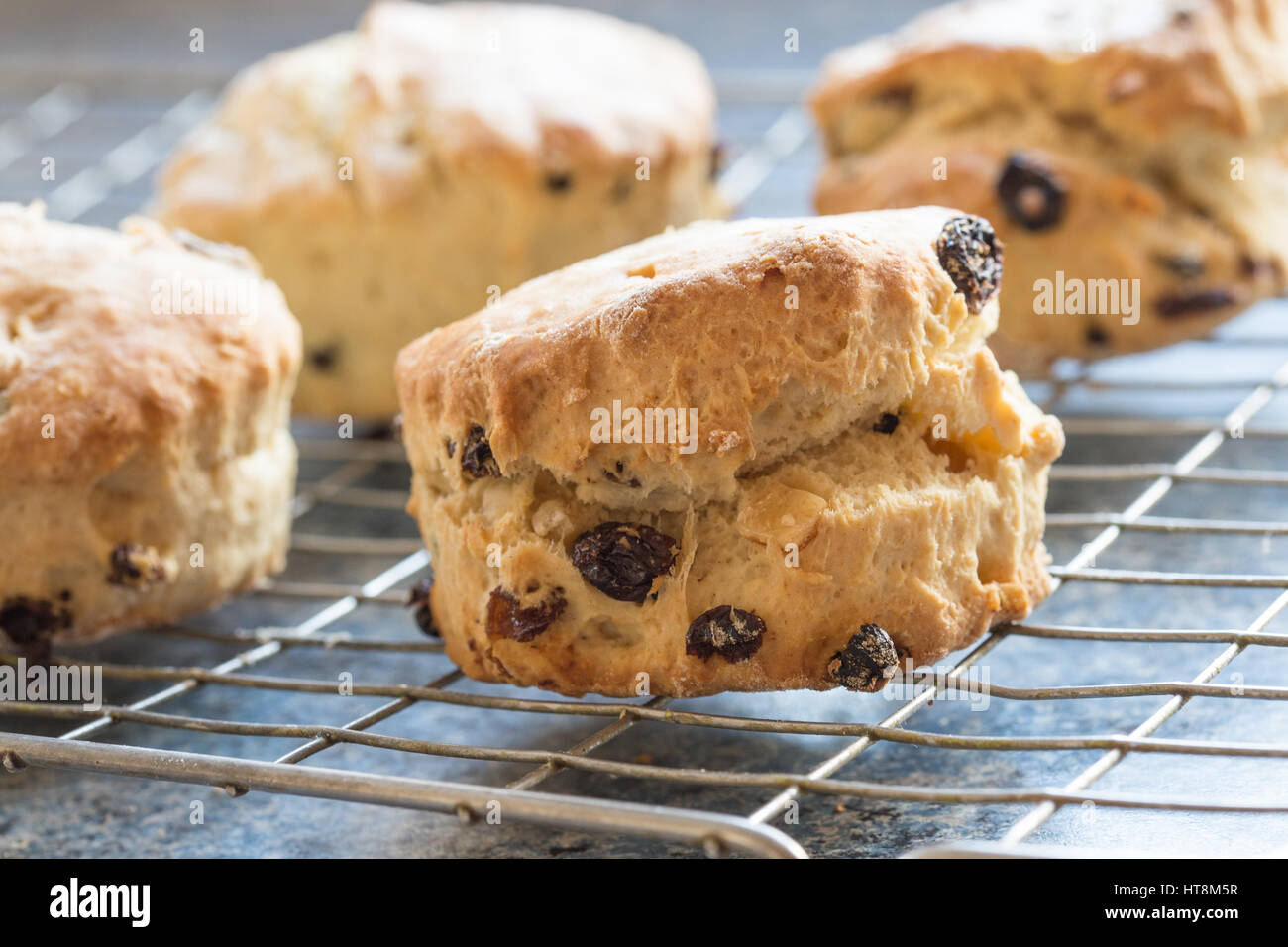 Freshly baked scones on a wire cooling rack Stock Photo Alamy