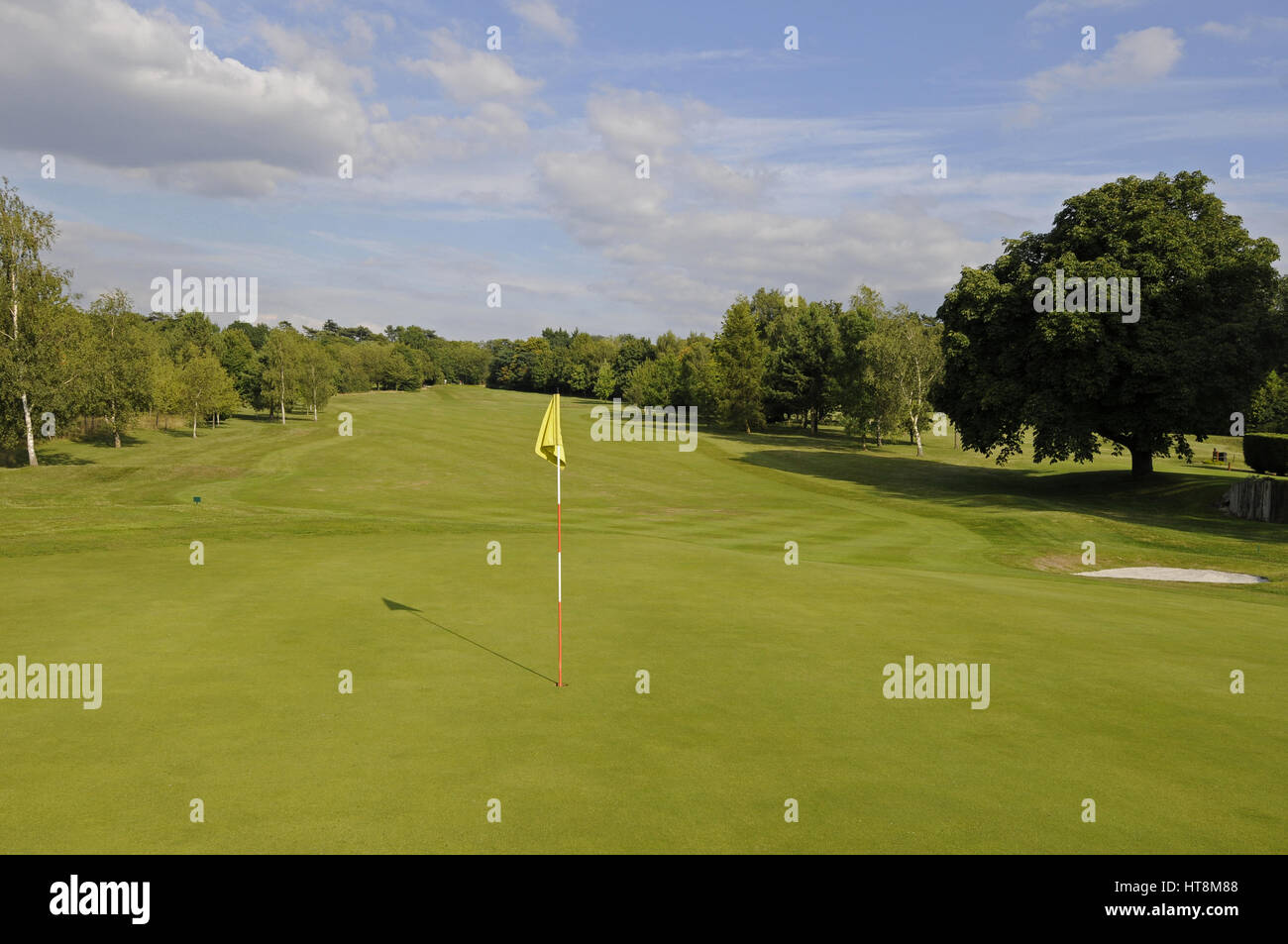 Woodcote park golf club hi-res stock photography and images - Alamy