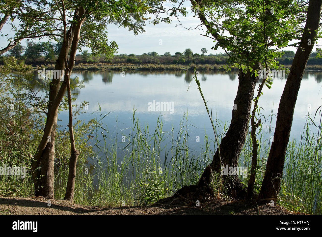 The Mahangu river in Namibia in the wet season Stock Photo Alamy