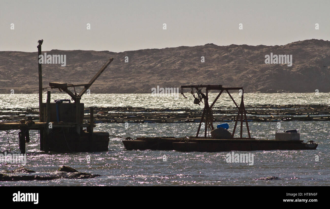 An Oyster fishing boat in Luderitz, Namibia Stock Photo