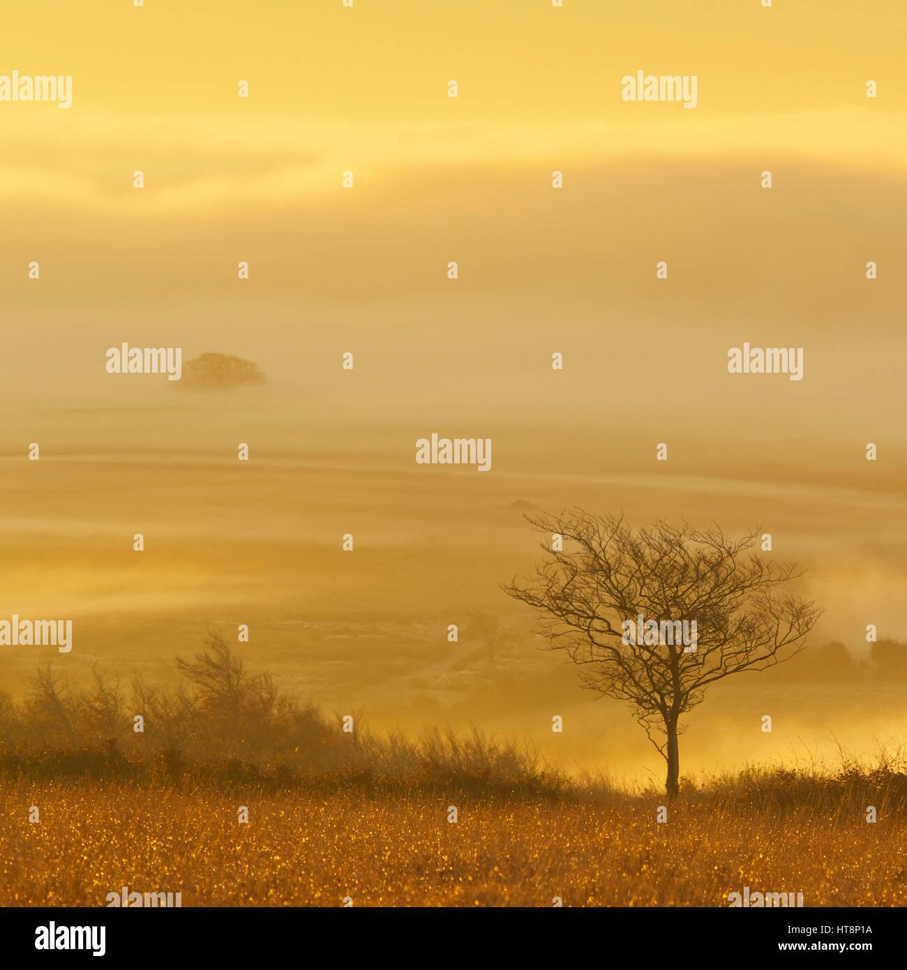 Rising west hi-res stock photography and images - Alamy