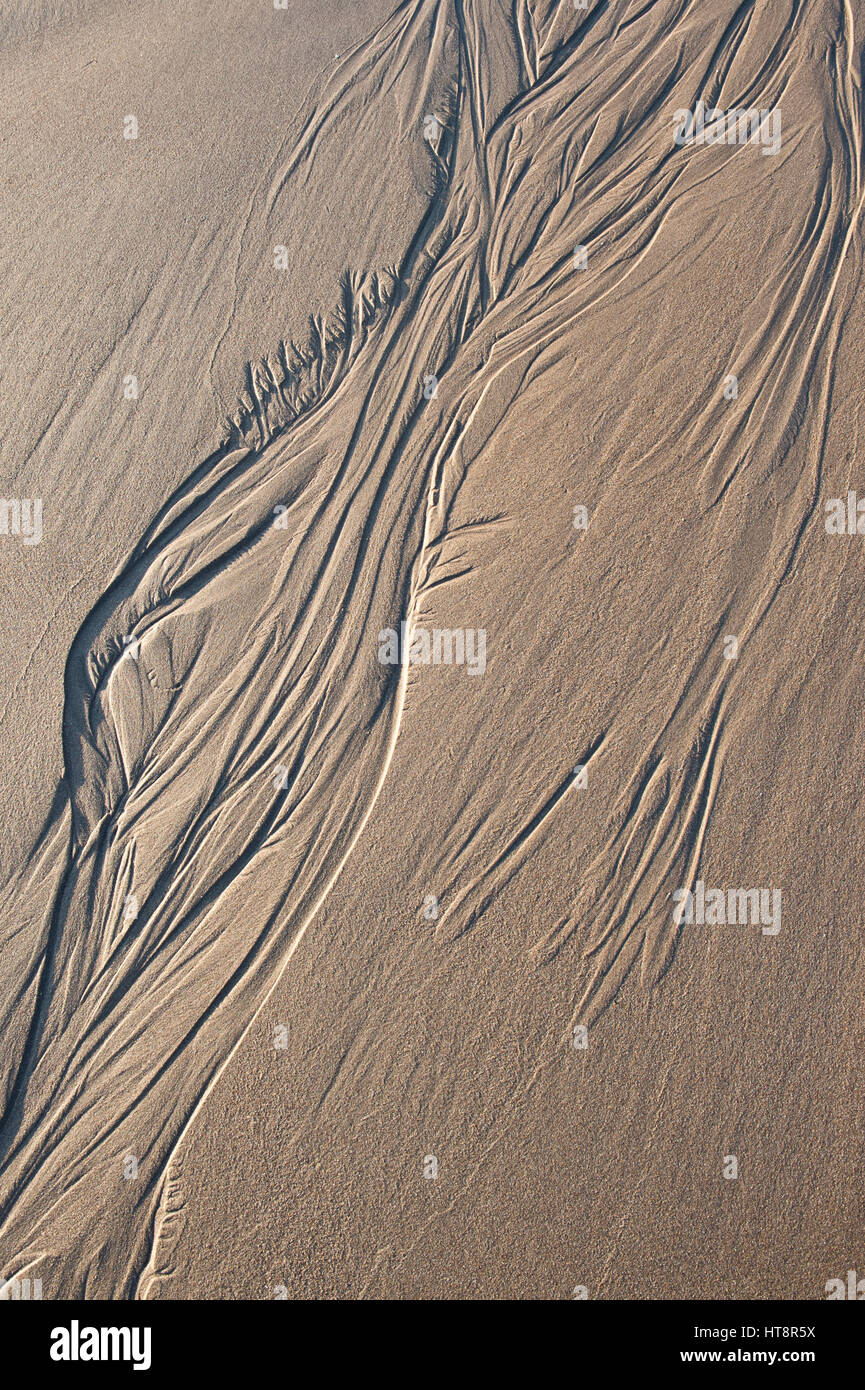 Feathery water sand pattern on a beach low tide. Pattern made by sea water retreating off the beach and the channels it forms. UK Stock Photo