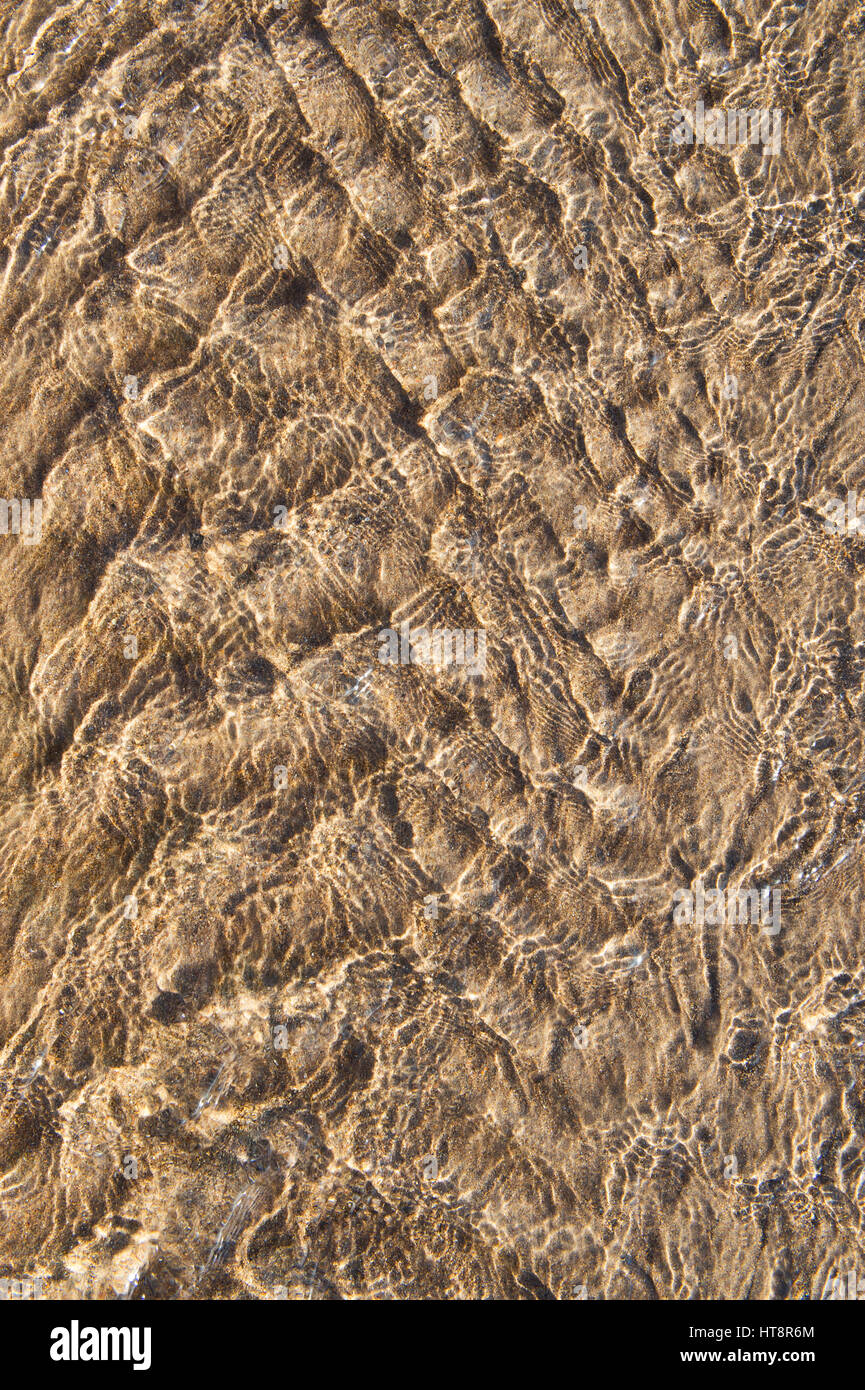 Shallow water pattern over sand on a beach at low tide. Pattern made by sea water retreating off the beach. UK Stock Photo