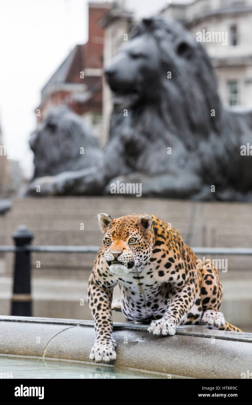 London, UK. 8 March 2017. Nat Geo WILD unveils the world’s first hyper realistic animatronic leopard in London's Trafalgar Square to mark the launch of Big Cat Week (6-12 March), in association with charity the Big Cats Initiative. It was created by John Nolan Studio, the geniuses behind many Harry Potter and other Hollywood animatronics. Stock Photo