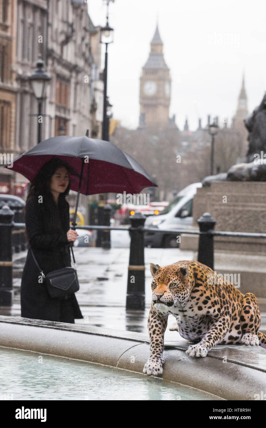 London, UK. 8 March 2017. Nat Geo WILD unveils the world’s first hyper realistic animatronic leopard in London's Trafalgar Square to mark the launch of Big Cat Week (6-12 March), in association with charity the Big Cats Initiative. It was created by John Nolan Studio, the geniuses behind many Harry Potter and other Hollywood animatronics. Stock Photo