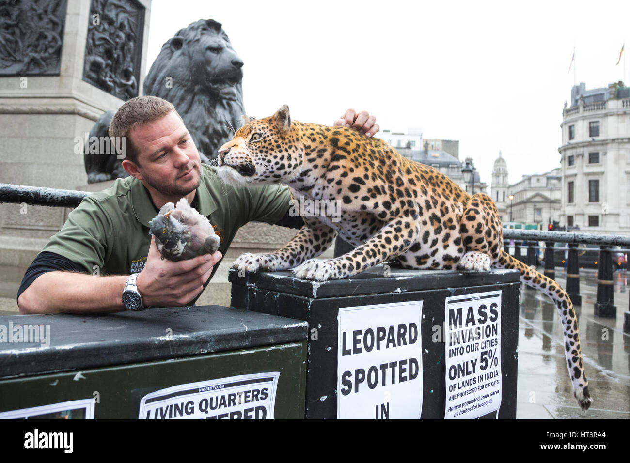 London, UK. 8 March 2017. Charles, a member of John Nolan Studio with the  leopard. Nat Geo WILD unveils the world's first hyper realistic animatronic  leopard in London's Trafalgar Square to mark