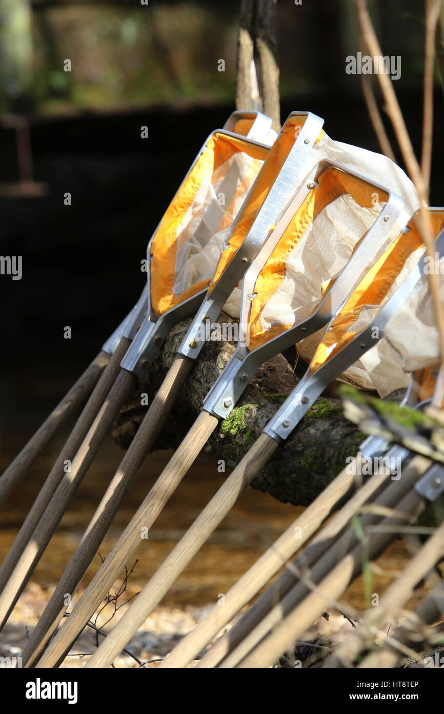 River dipping hires stock photography and images Alamy