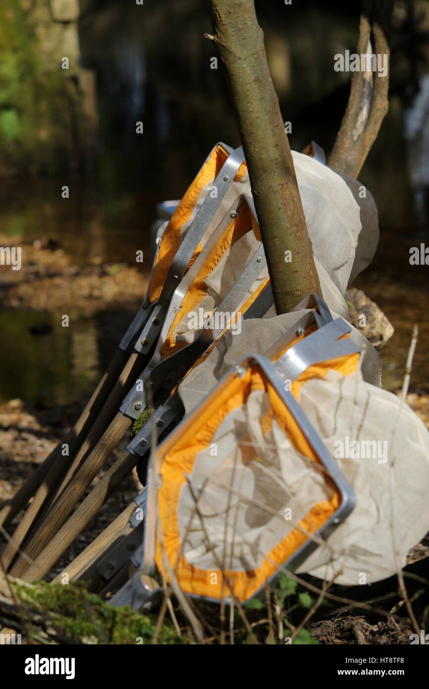 Pond dipping nets ready for use Stock Photo Alamy