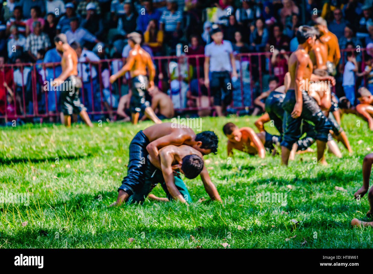 Oil wrestling turkey hires stock photography and images Alamy