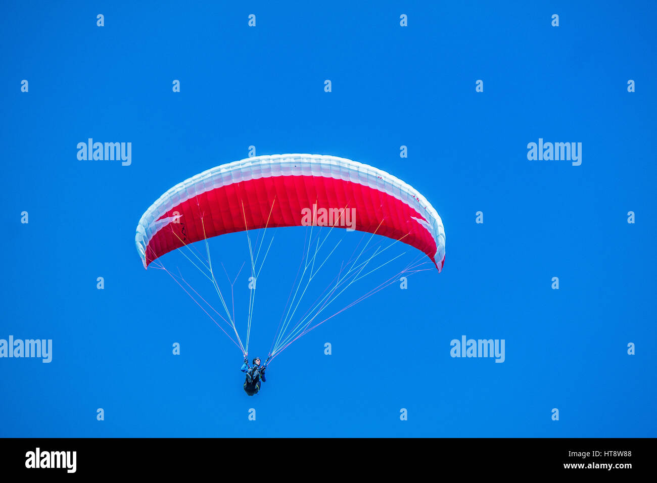 paraglider in blue sky-paragliding Stock Photo