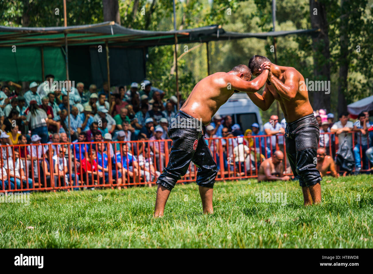 oilwrestling turkey. oilwrestler claping Stock Photo - Alamy