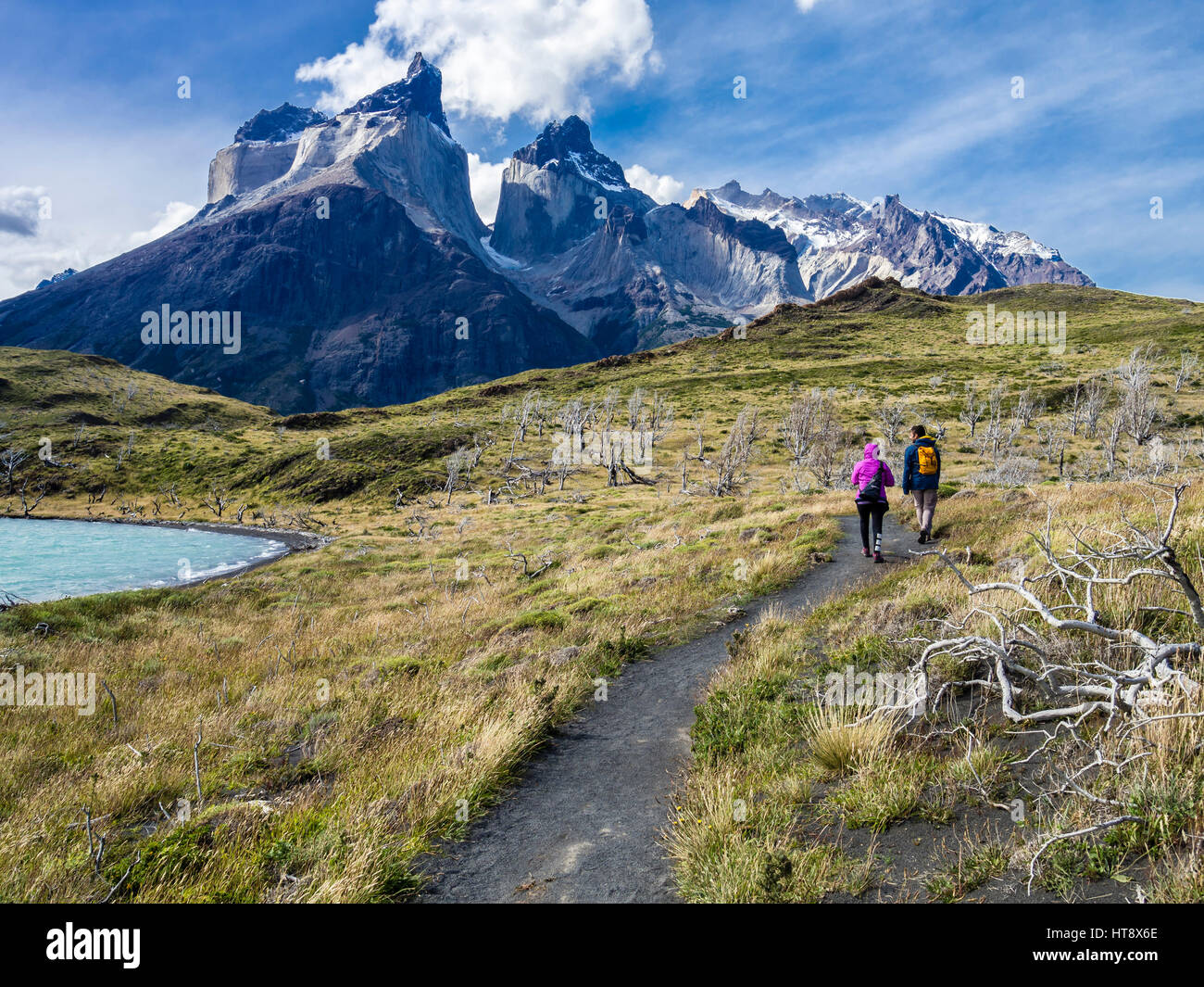 Hikers on small path to viewpoint Mirador Cuernos at lake Nordenskjöld,   burned trees,  Torres del Paine national park, Chile Stock Photo