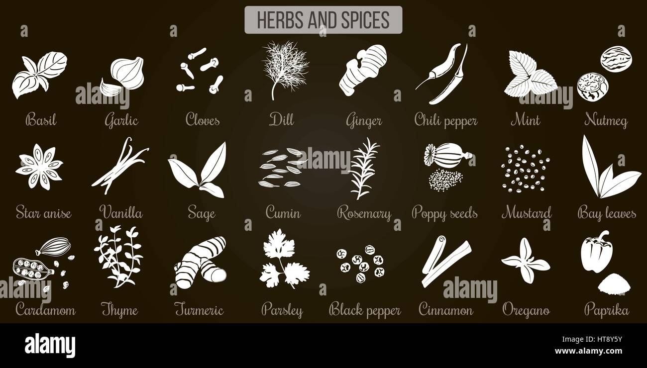 Big set of simple flat culinary herbs and spices. White Silhouettes on black Stock Vector