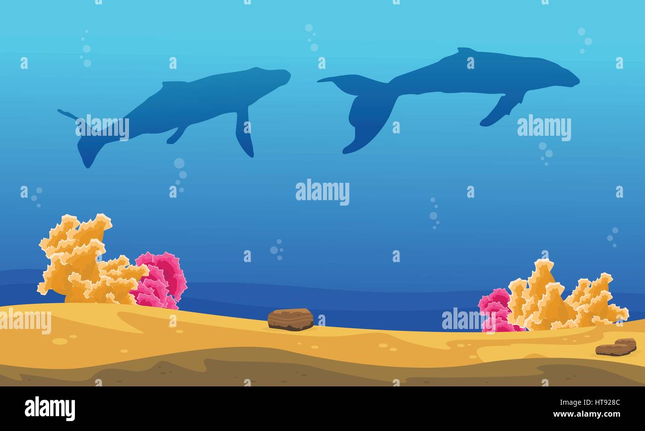 Silhouette of big whale on ocean Stock Vector Image & Art - Alamy