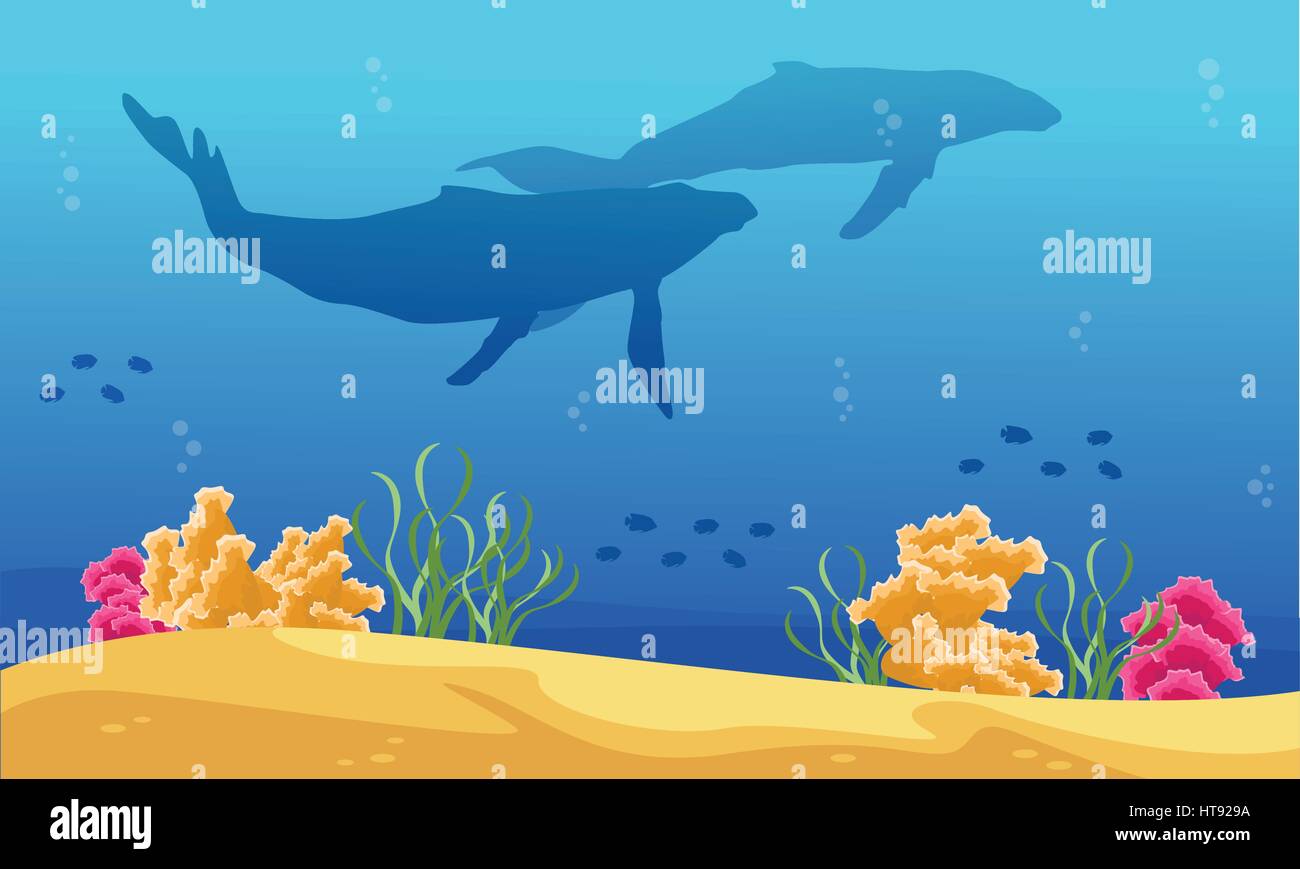 Beauty landscape underwater with whale silhouettes Stock Vector Image ...