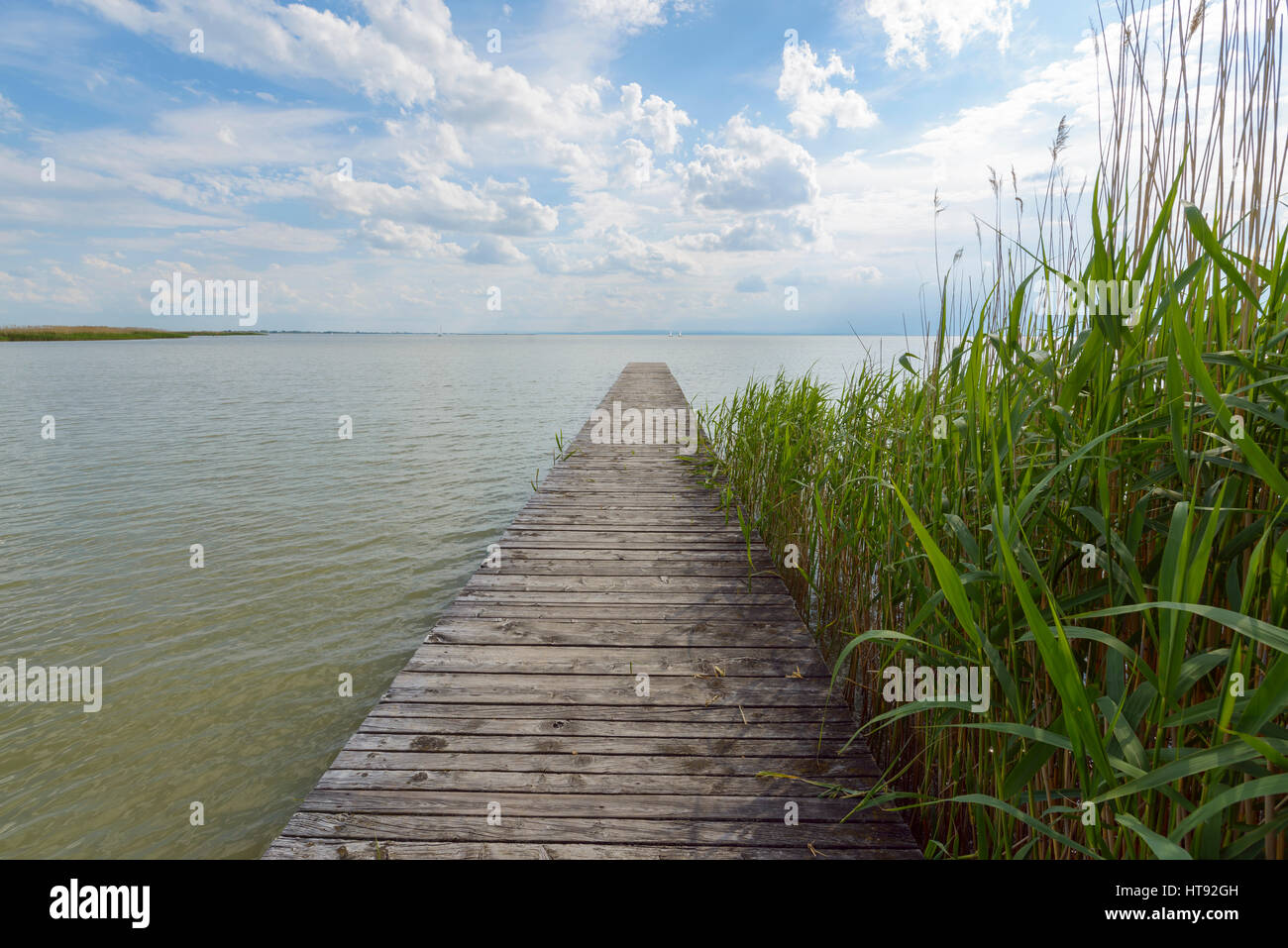 Wooden Jetty with Reeds at Weiden, Lake Neusiedl, Burgenland, Austria Stock Photo