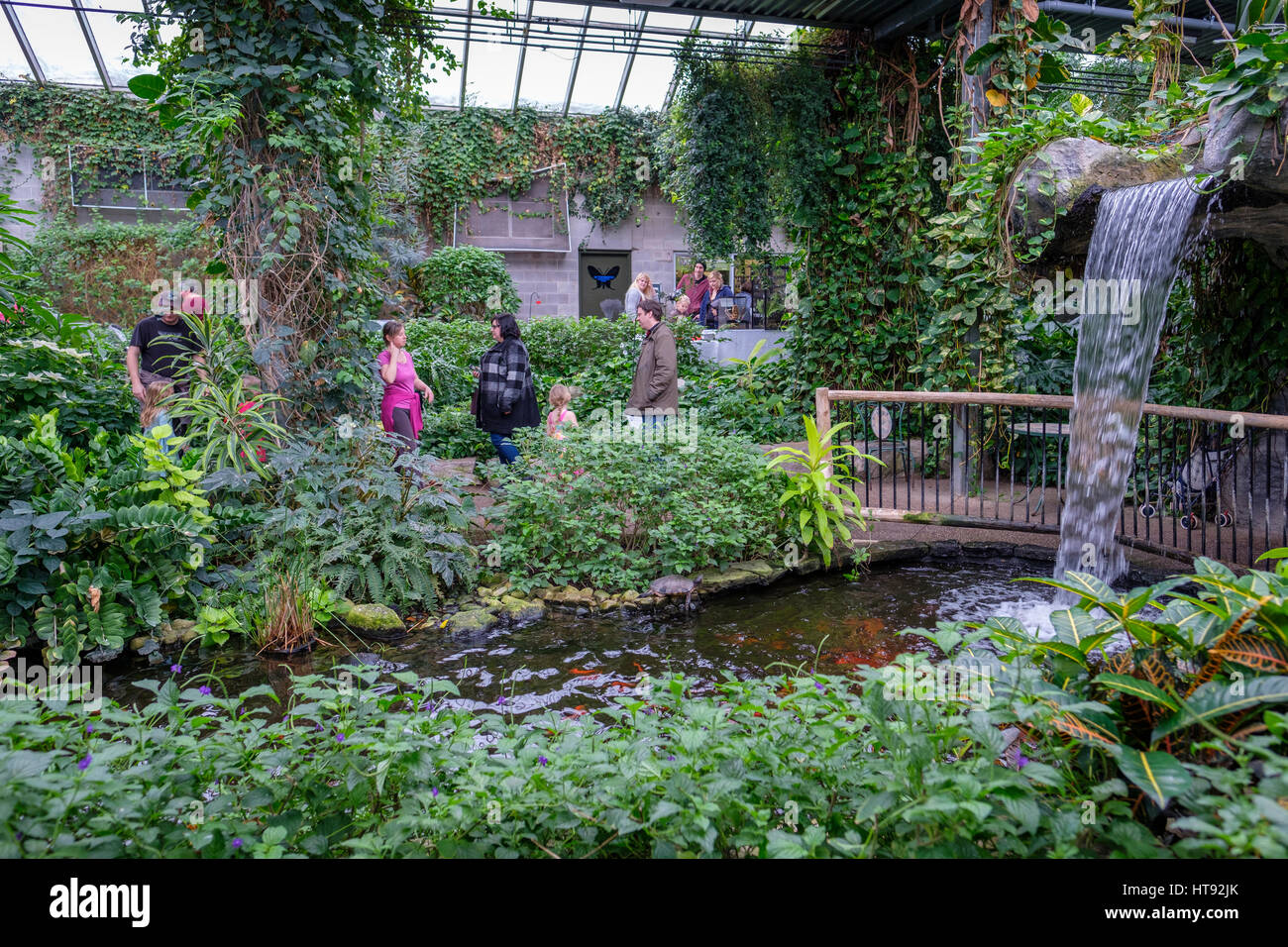 Inside view of the greenhouse and tropical garden of the Cambridge Butterfly Conservatory with waterfall and fish pond in Ontario, Canada. Stock Photo