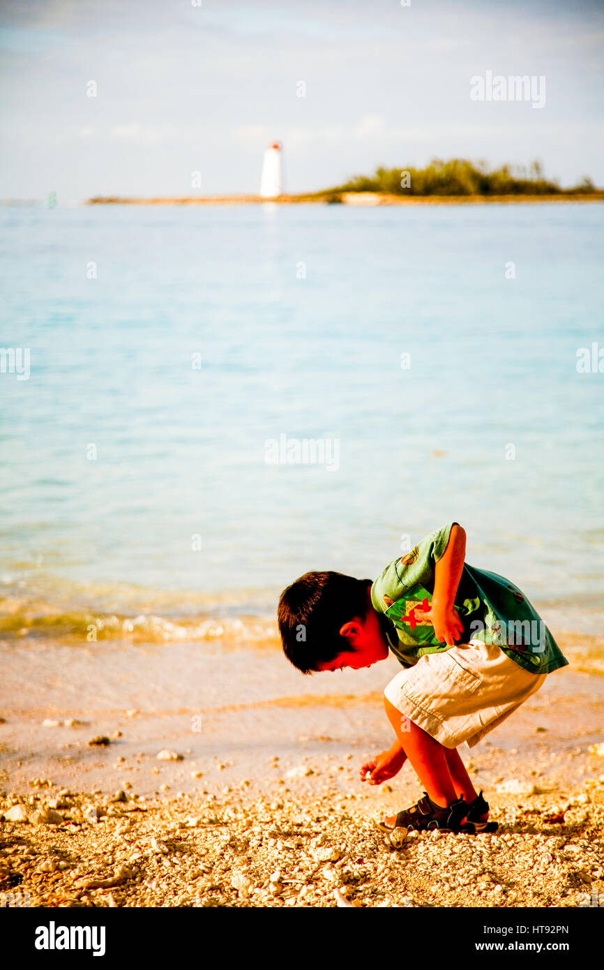 Boy Picking Shells High Resolution Stock Photography and Images - Alamy