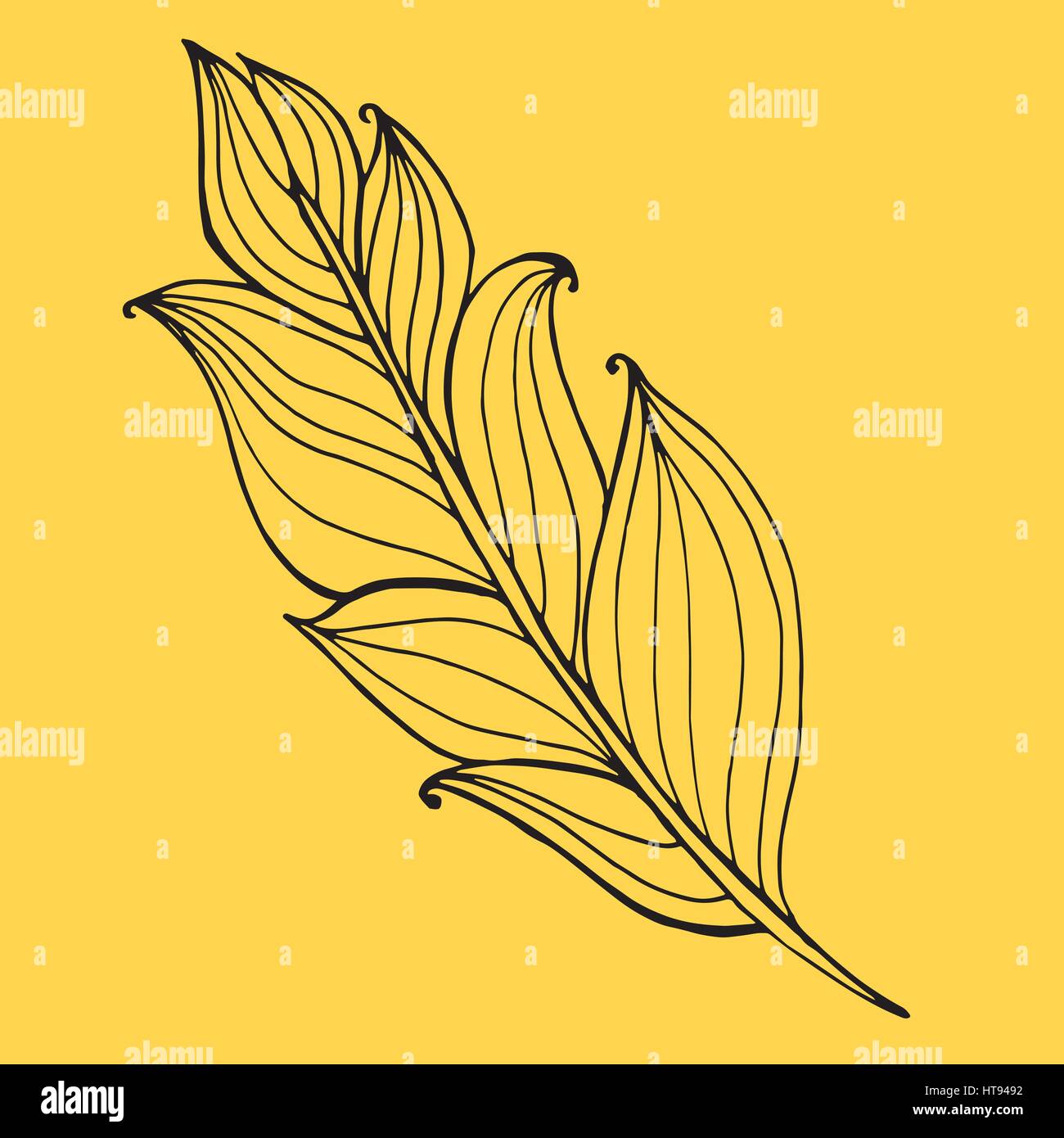 Hand drawn doodle zentangle feather isolated from background. Black ...