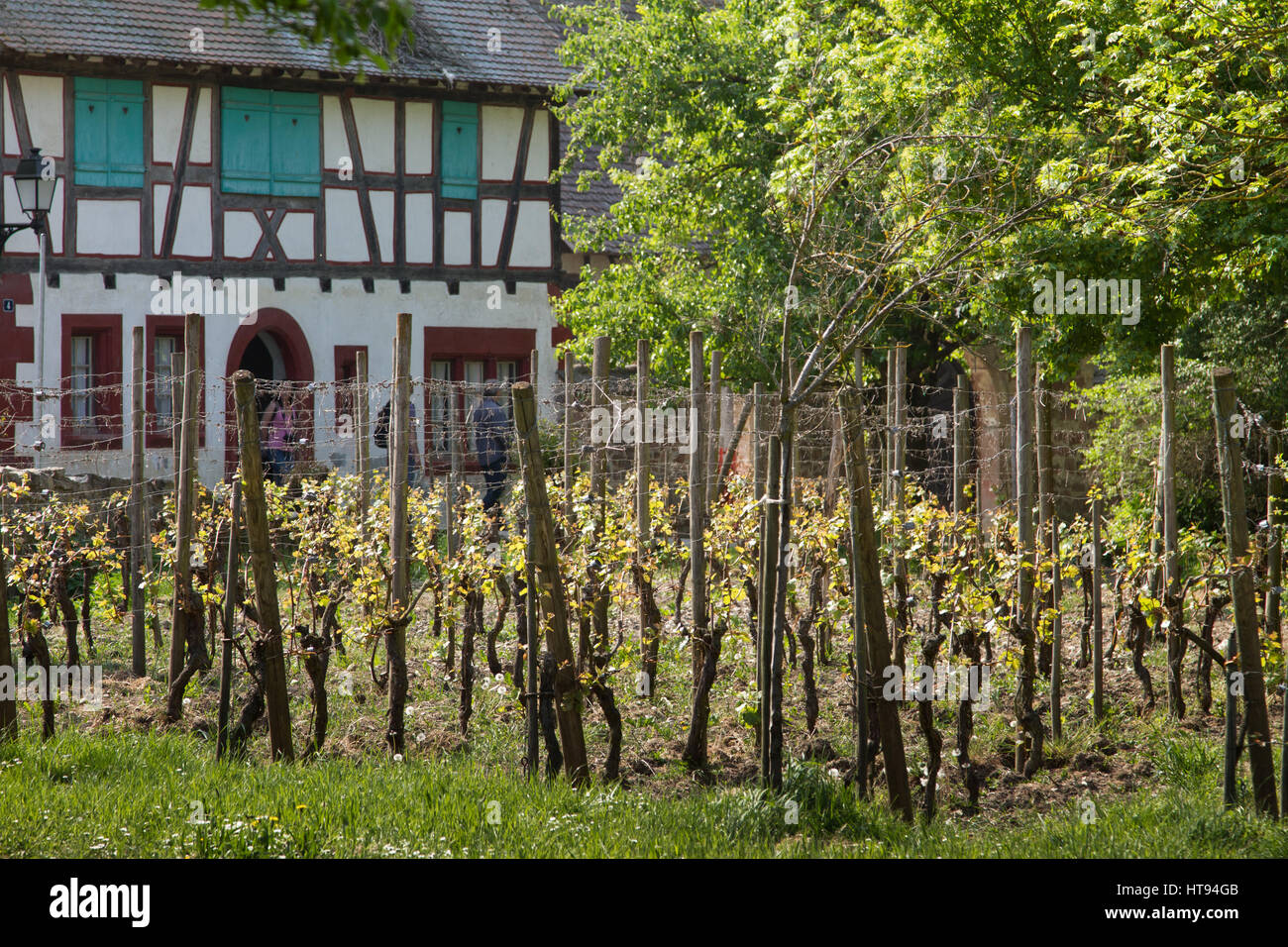 The Ecomusee D Alsace Is The Largest Living Open Air Museum In