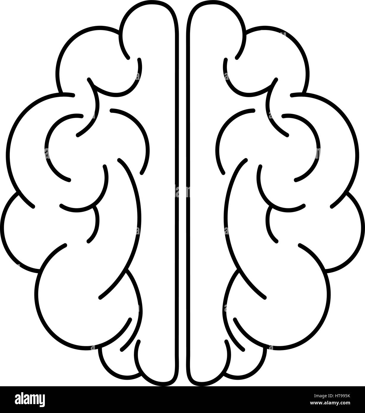 Human Brain Black and White Stock Photos & Images - Alamy