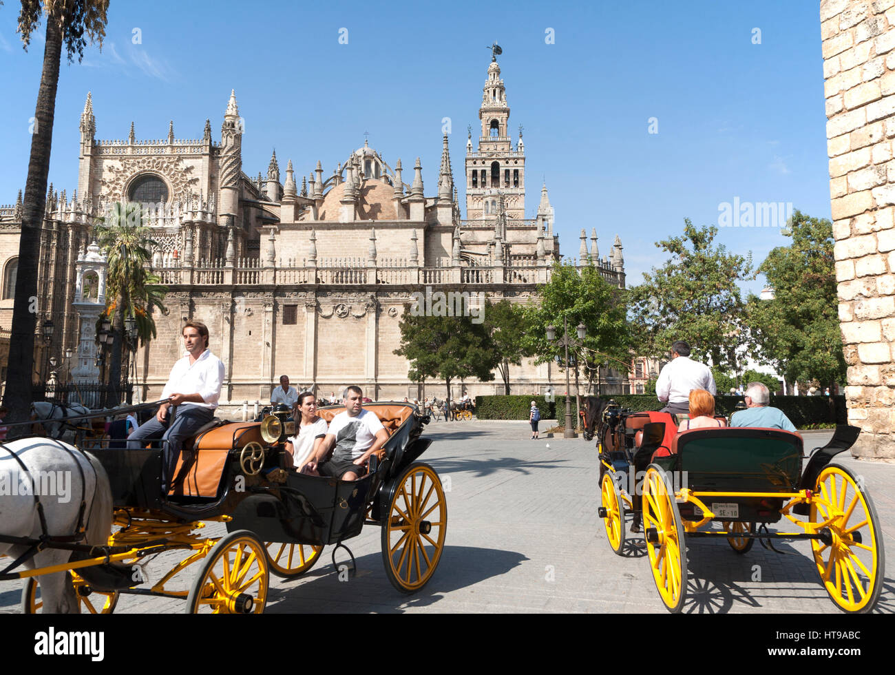 Horse and carriage rides for tourists in the historic central area near the cathedral, Seville, Spain Stock Photo