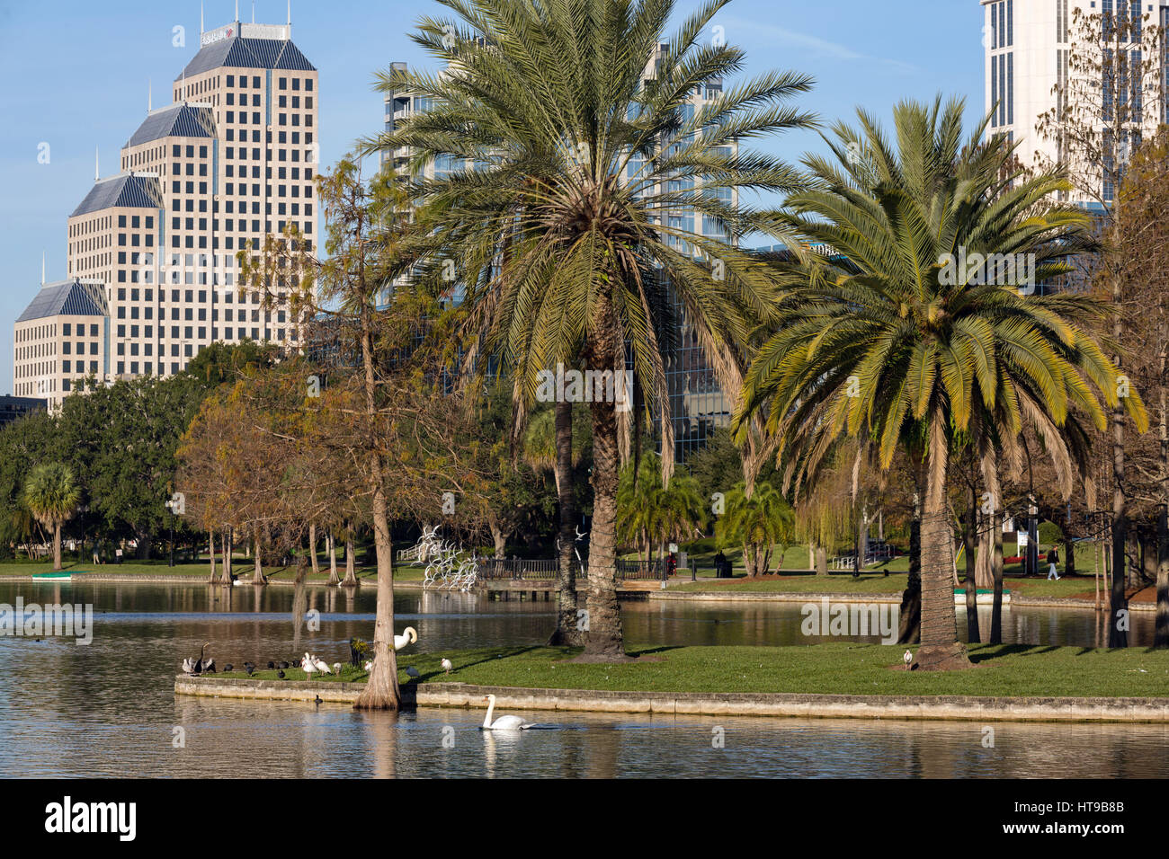 Skyline view over Lake Eola and palm trees in Orlando, Florida. Lake
