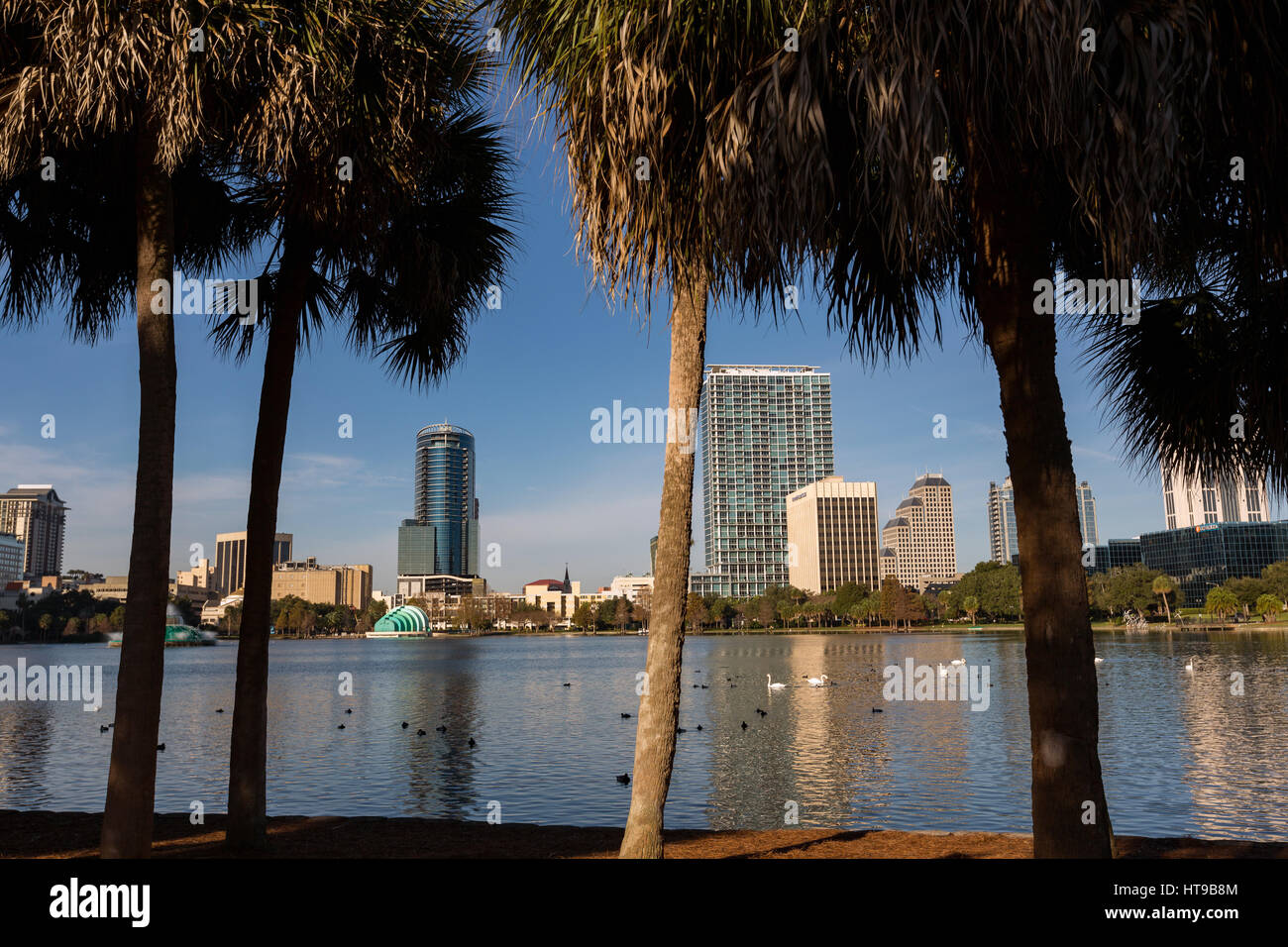 Skyline view over Lake Eola and palm trees in Orlando, Florida. Lake