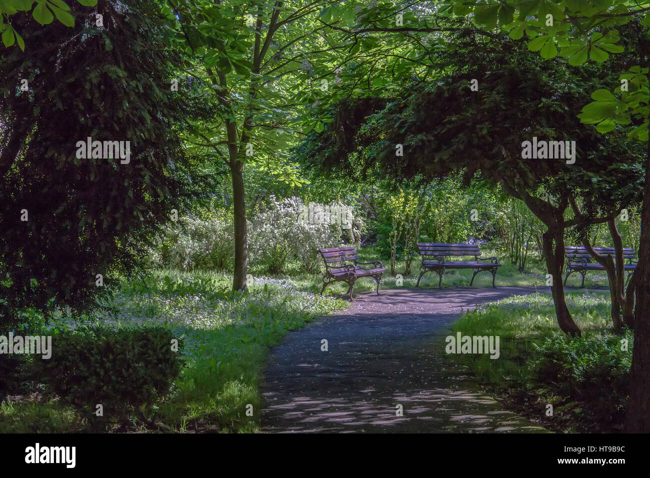 benches in the park Stock Photo - Alamy