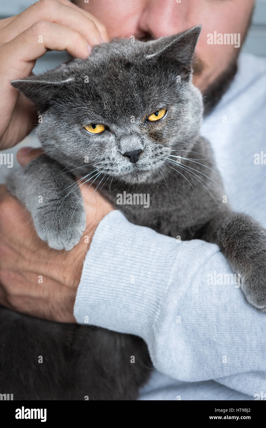Man sitting in an armchair, holding his pet cat Stock Photo