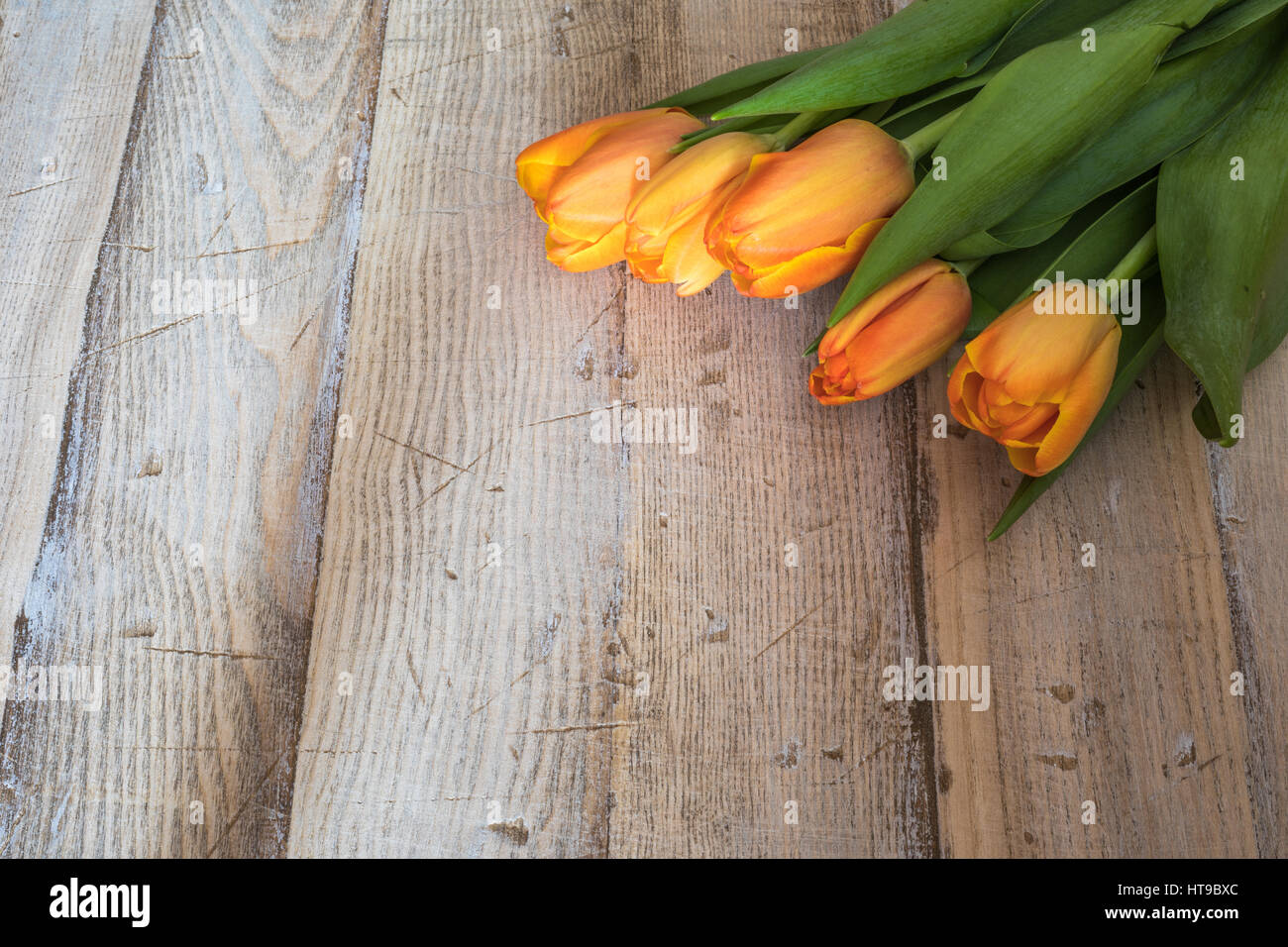 Beautiful Spring Orange Tulips On A Vintage Wood Background Stock