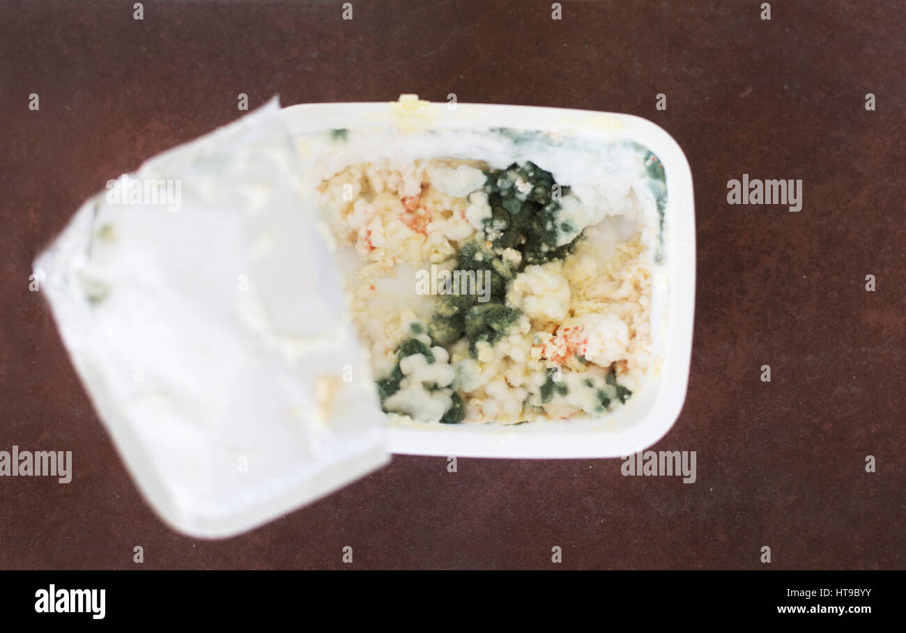 Close up on rotten butter or cottage cheese Stock Photo