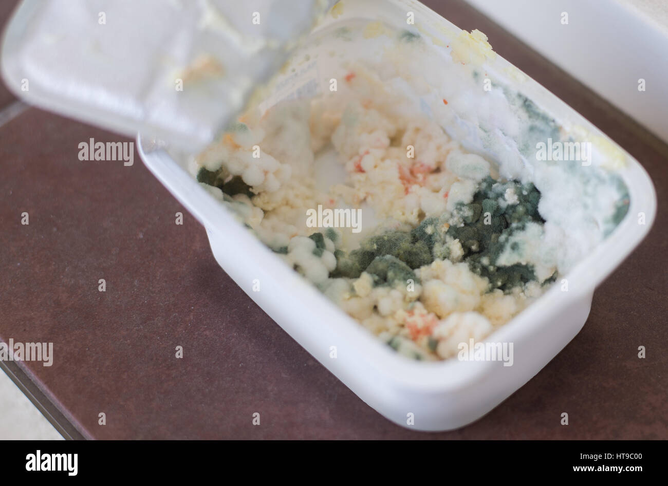 Close up on rotten butter or cottage cheese Stock Photo