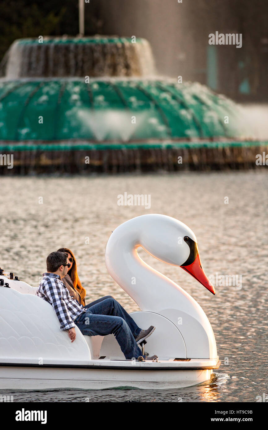 Lake Eola Swan Boats Florida Stock Photos &amp; Lake Eola Swan ...