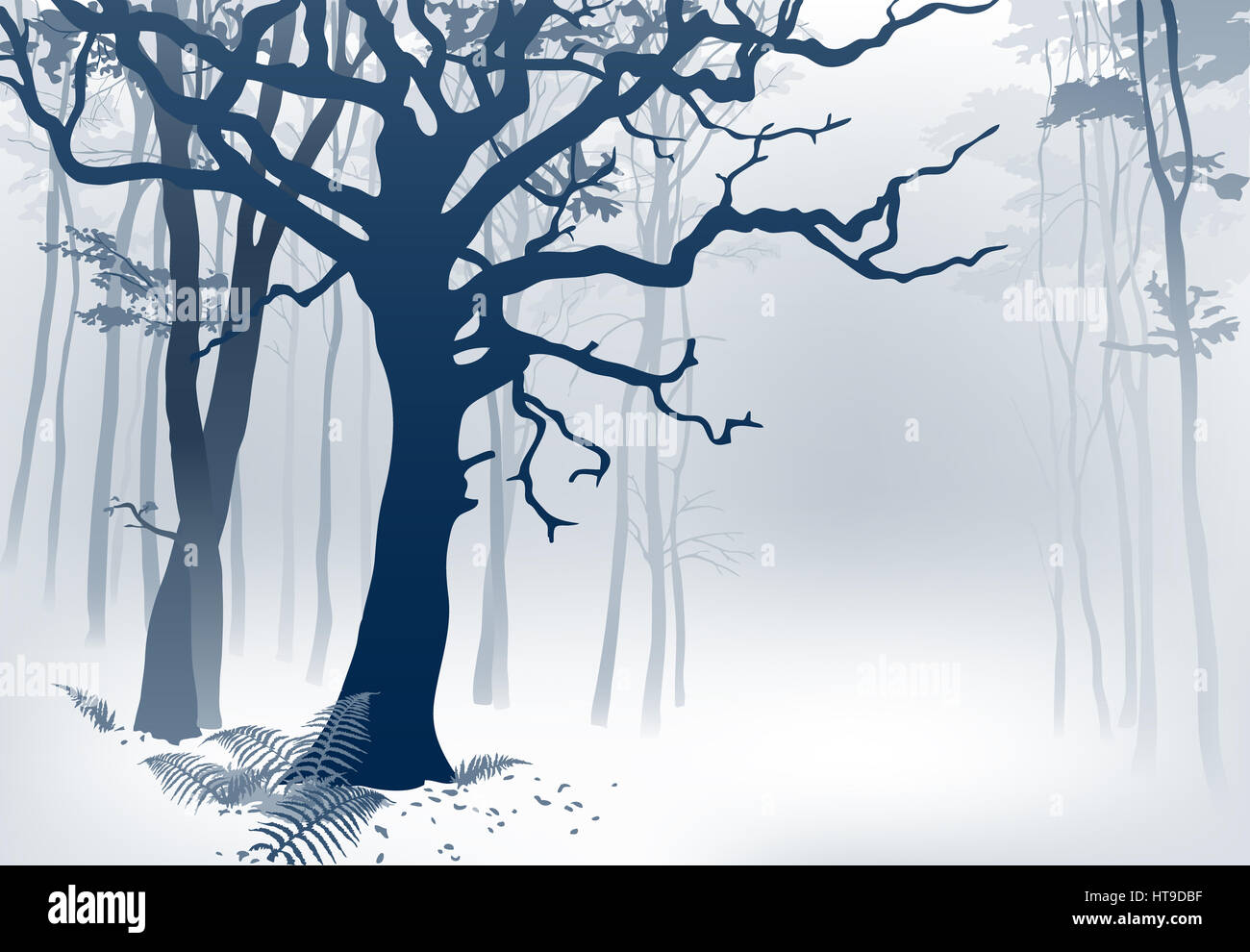 Foggy Forest. Hand drawn digital illustration of a misty woodland ...