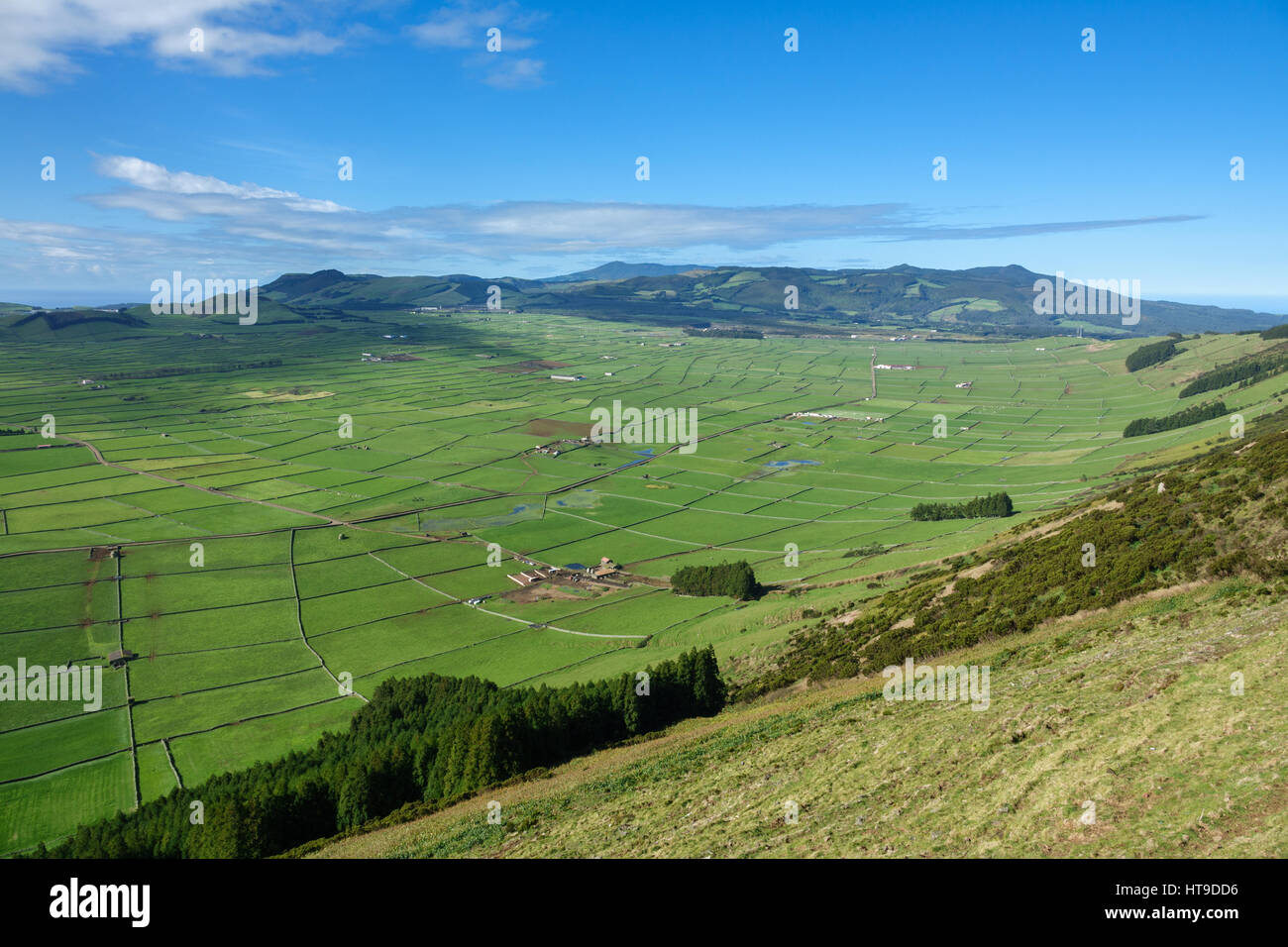 Top view of farm fields valley in the Terceira island in Azores, wide ...