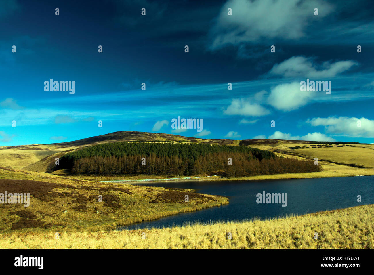 Spartleton and Whiteadder Reservoir from The Herring Road, the