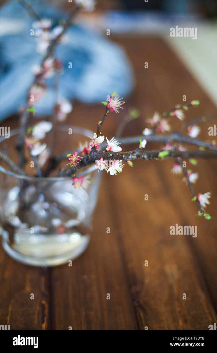 Sprig blossoming branch on wooden table and empty space for text. Copy space. Spring time Stock Photo