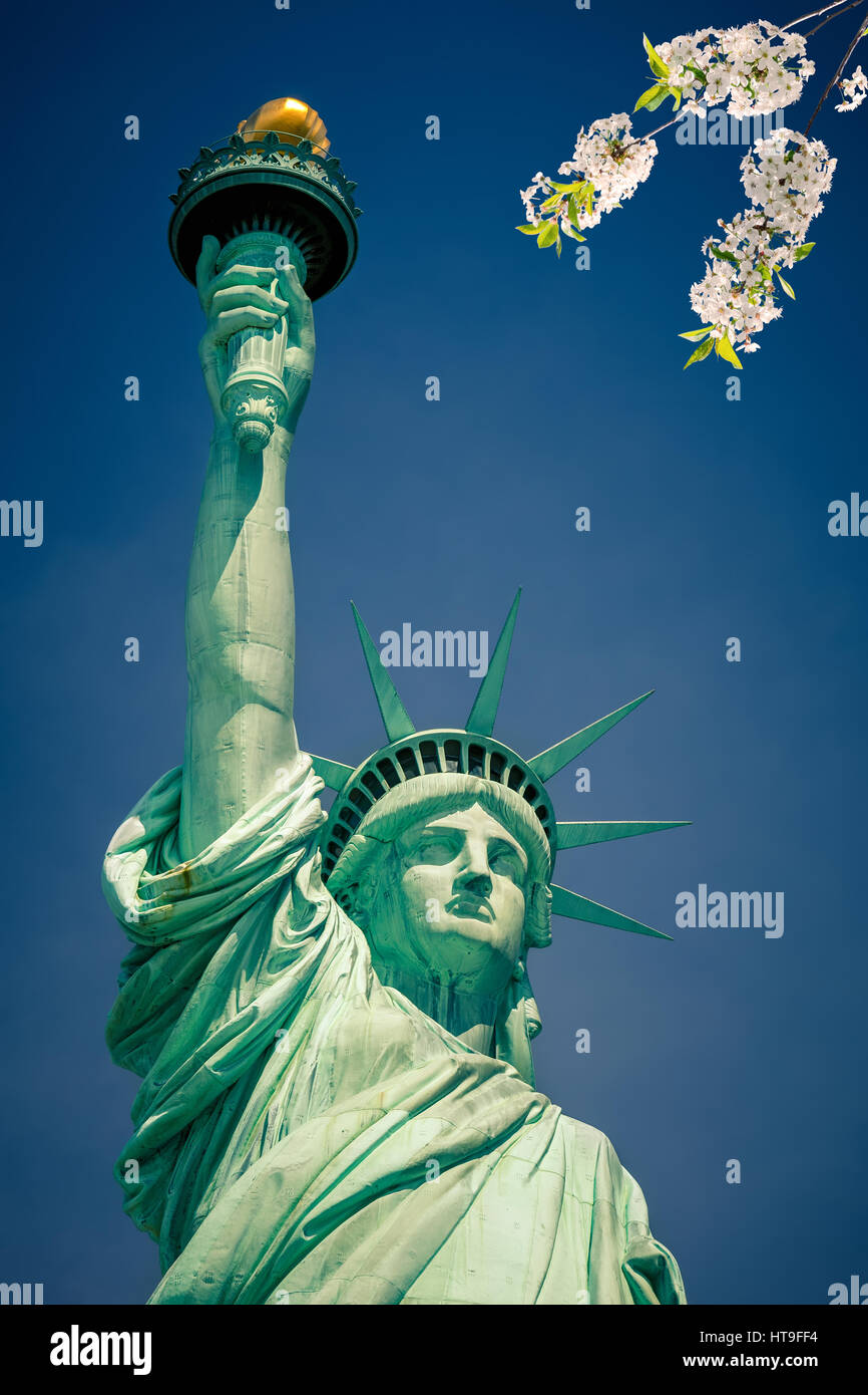 Statue of Liberty with blooming cherry on foreground, New York Stock Photo
