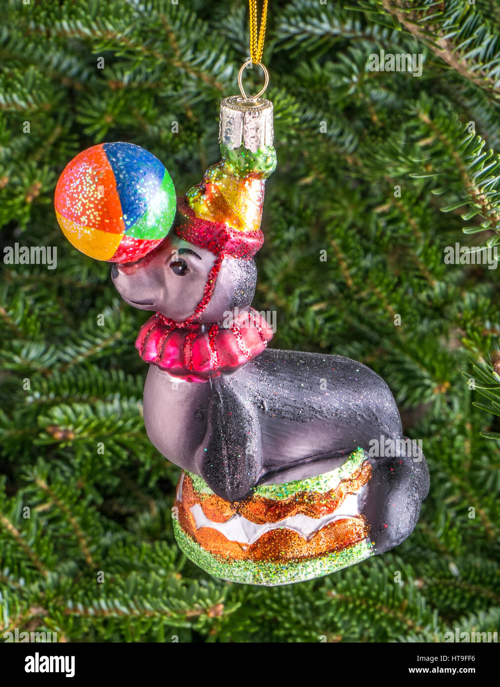 Christmas bauble hanging from a tree in the shape of a Circus Seal with Ball Stock Photo