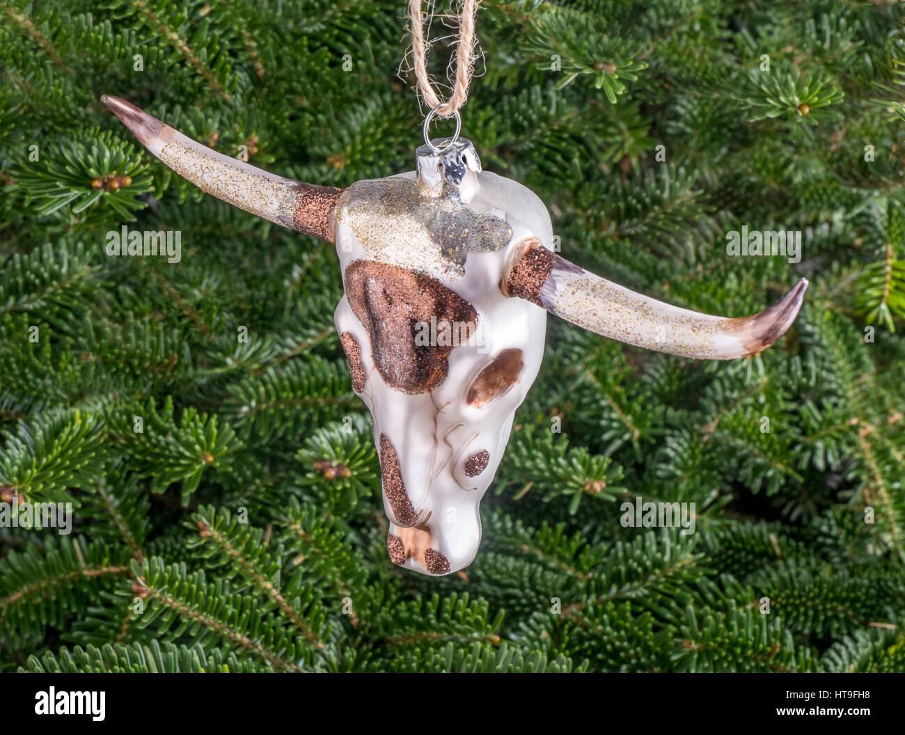 Christmas bauble hanging from a tree in the shape of a Cow with Horns Stock Photo