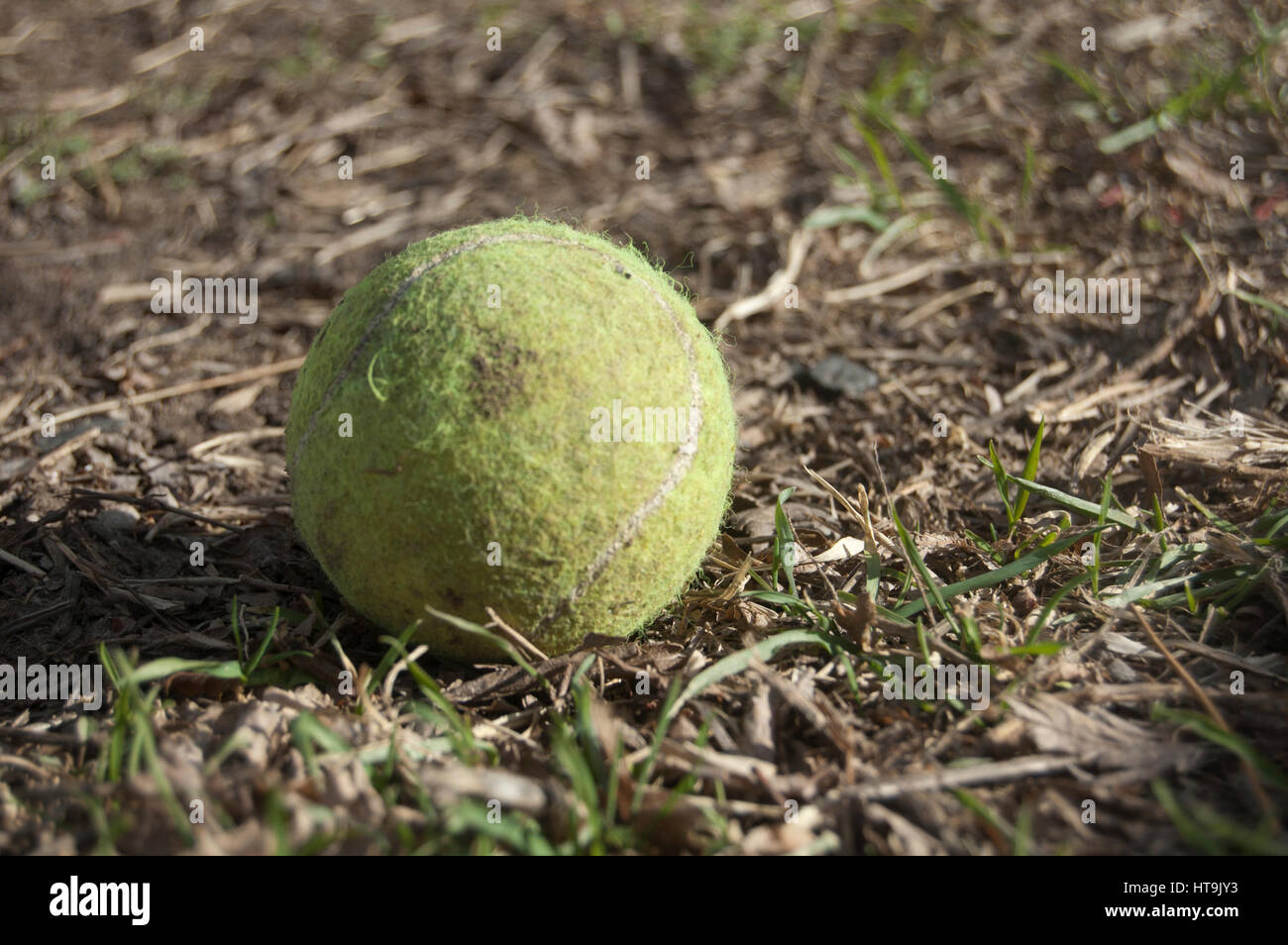 Picture of an old, used tennis ball on the ground surrounded by dirt